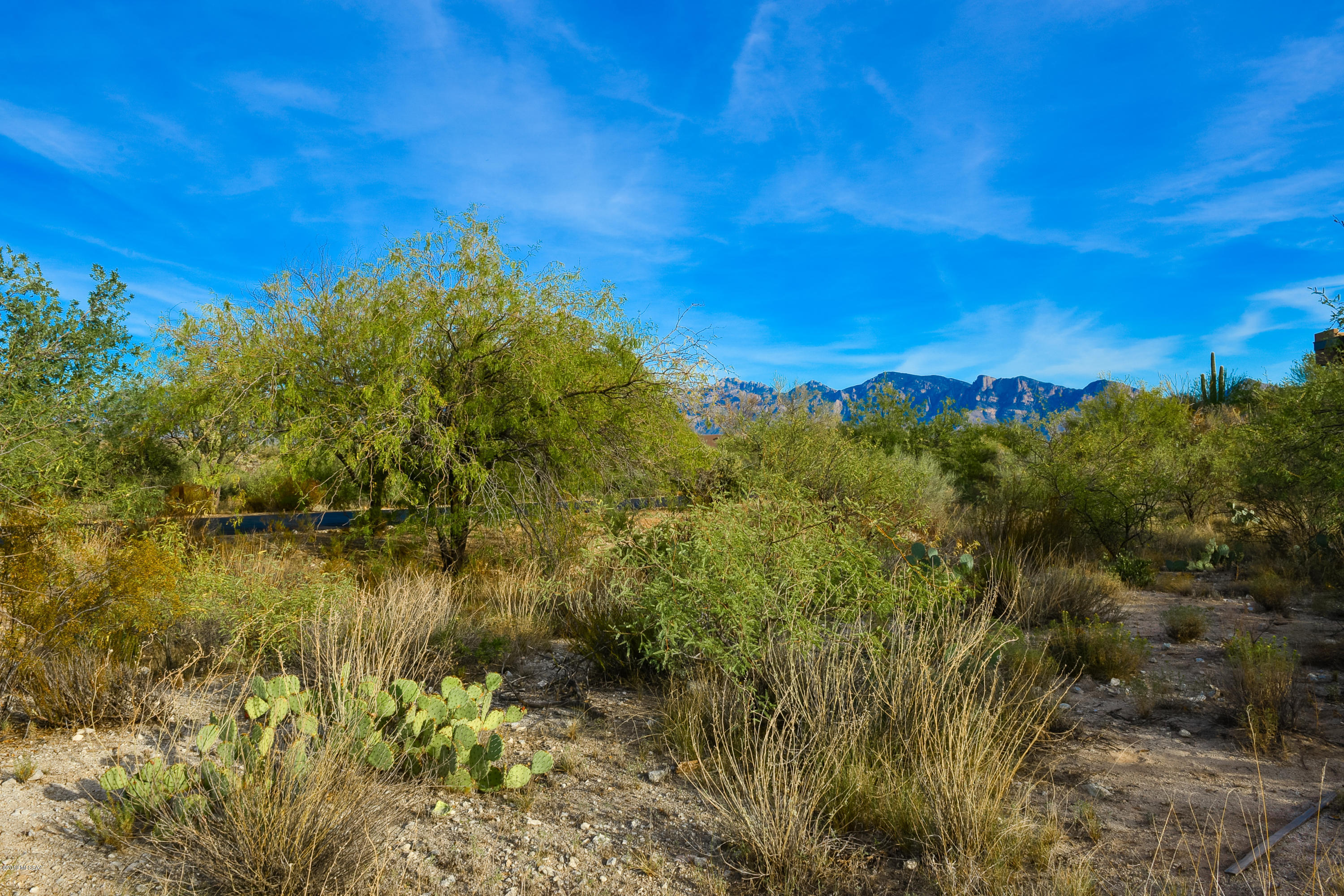 Stone Canyon II - Land