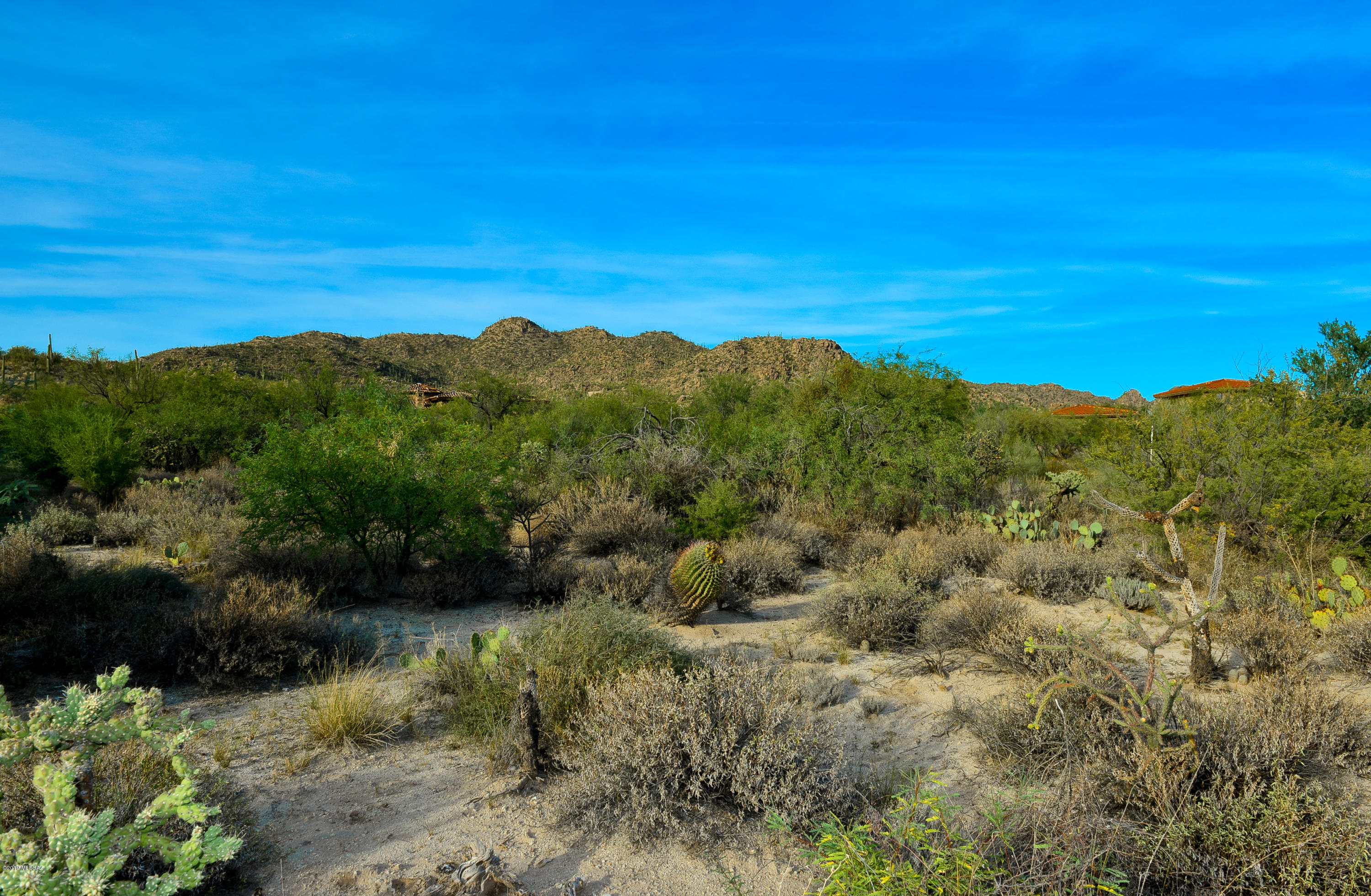 Stone Canyon II - Land