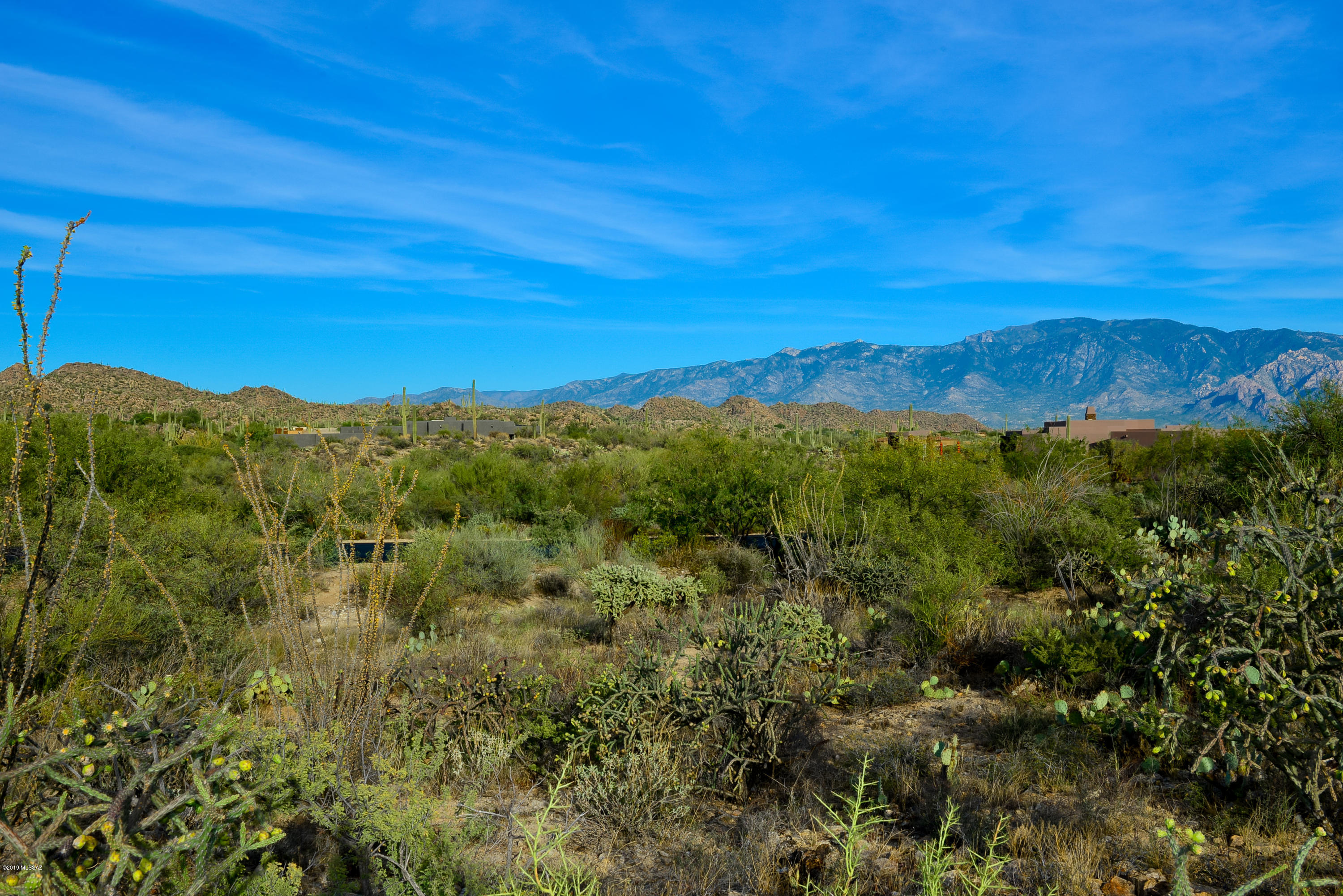 Stone Canyon II - Land