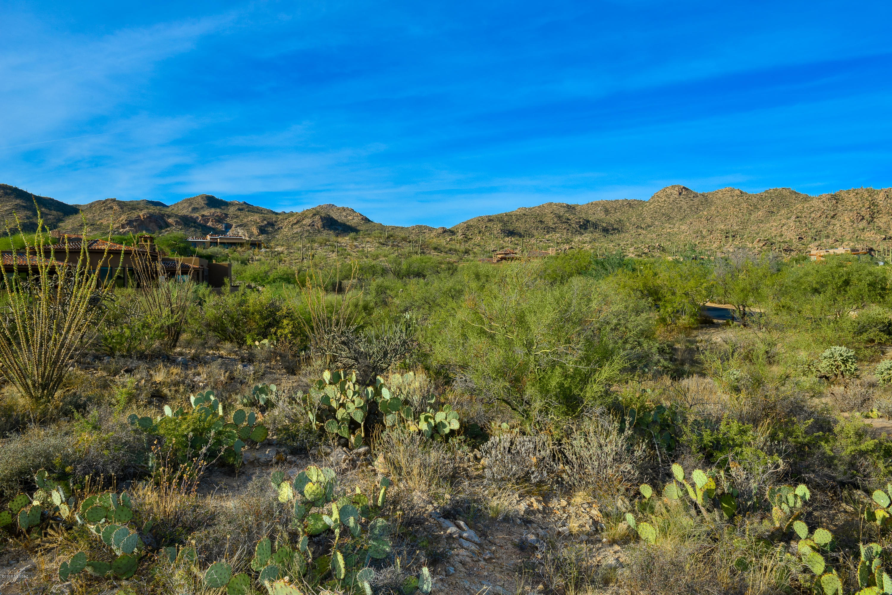 Stone Canyon II - Land