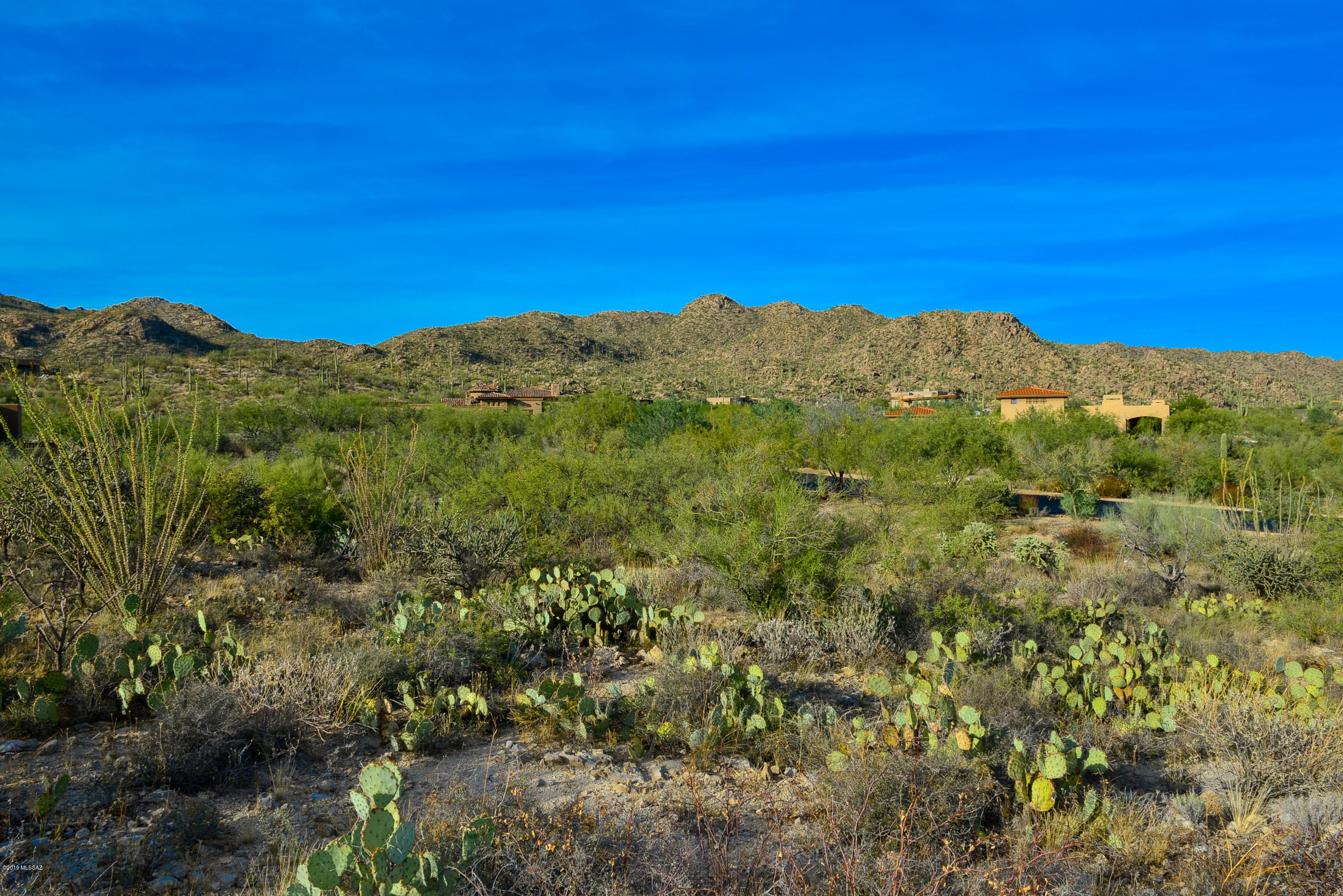 Stone Canyon II - Land