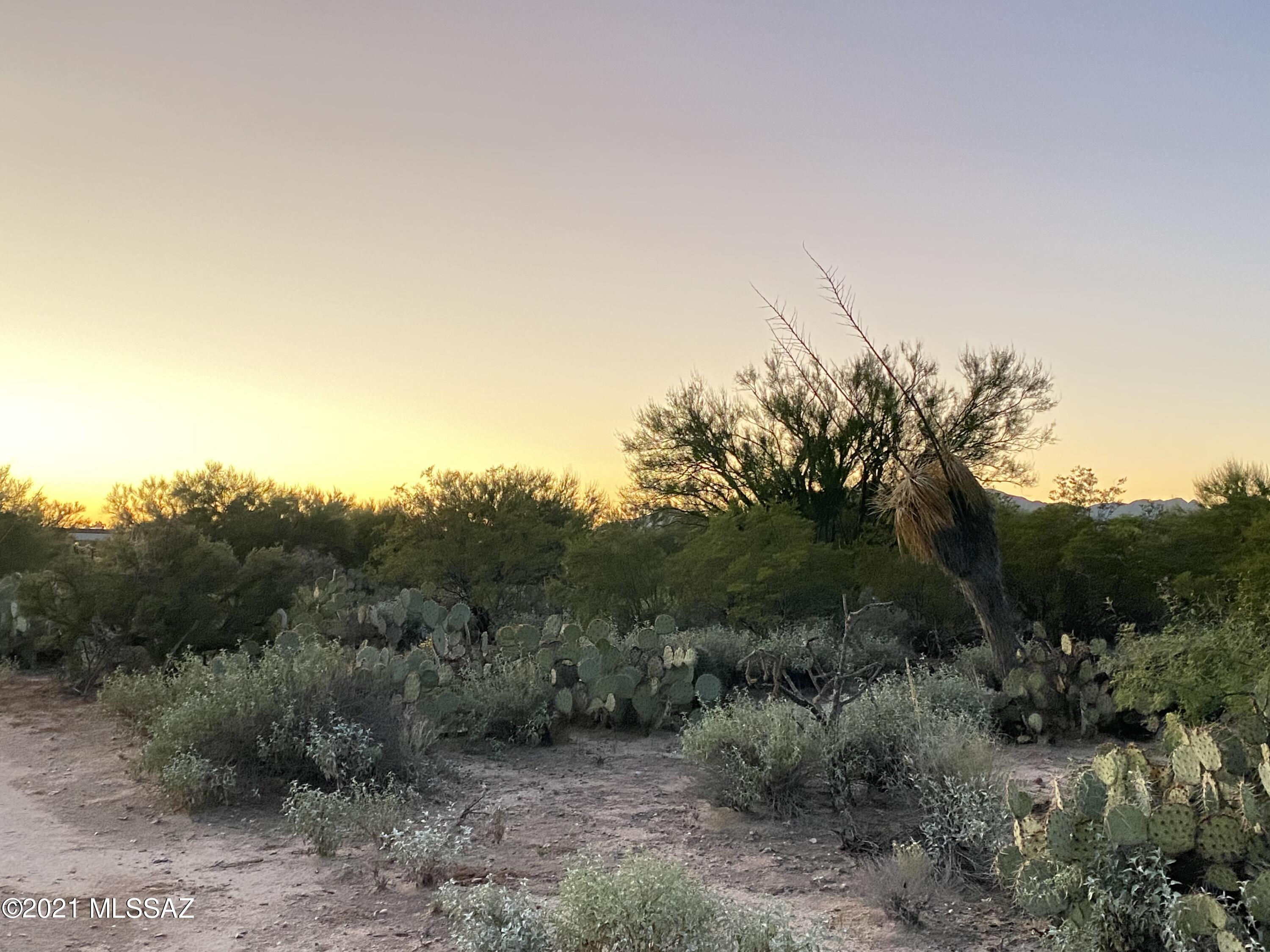 Coyote Ridge (1-109) - Land