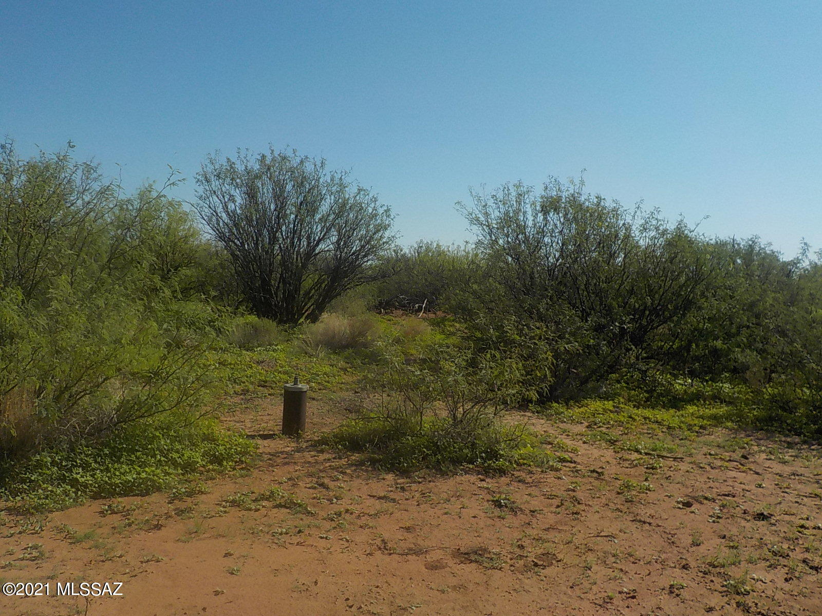 Flat property with a lot of options , several orchards and vineyards in the area. Extremely private and quiet but easy to get to. The views are fantastic and the star gazing is in one of the darkest areas in SE Arizona.  Capped well on property and electric is not far, come build your dream home.