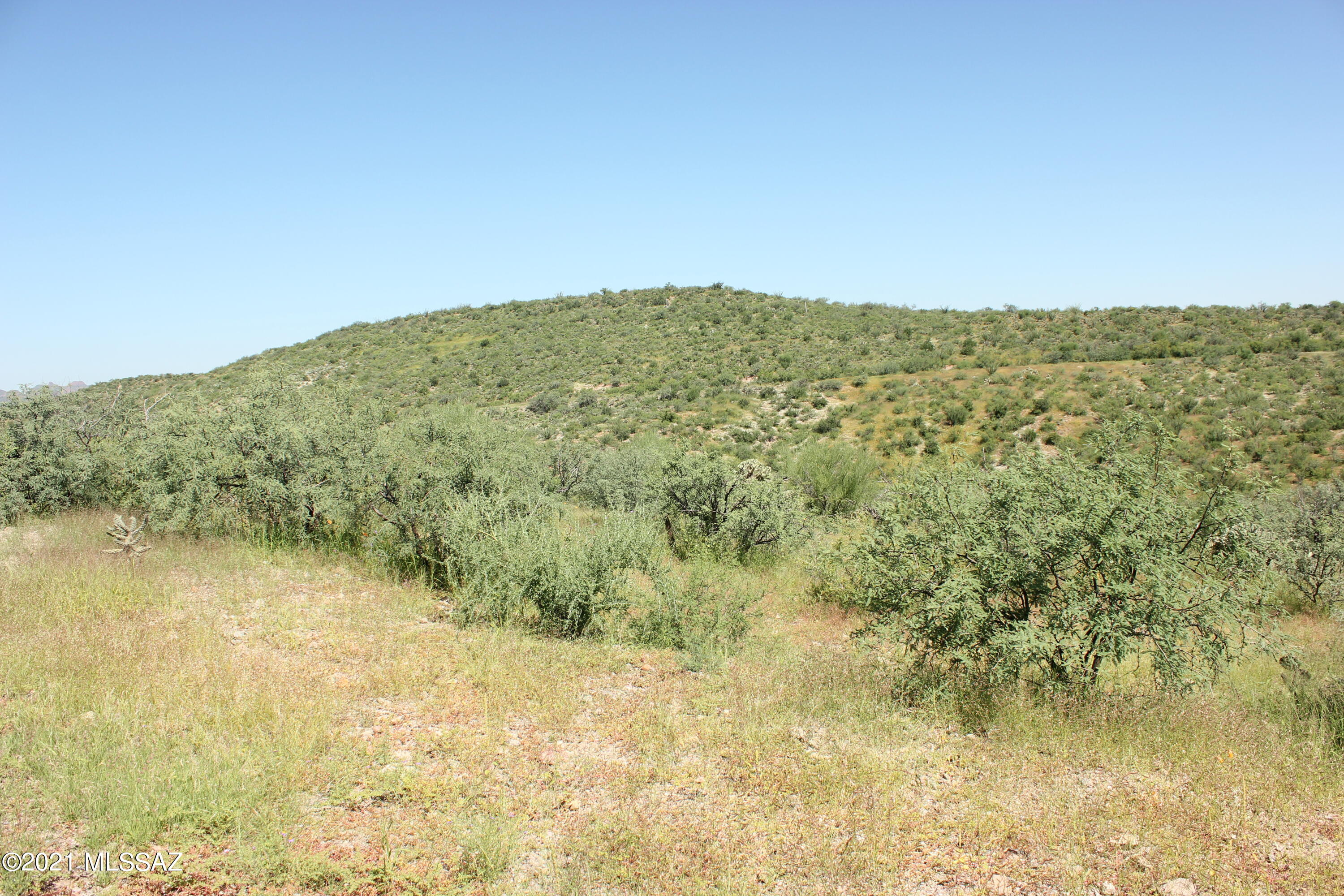 Rio Rico Estates 16 - Land