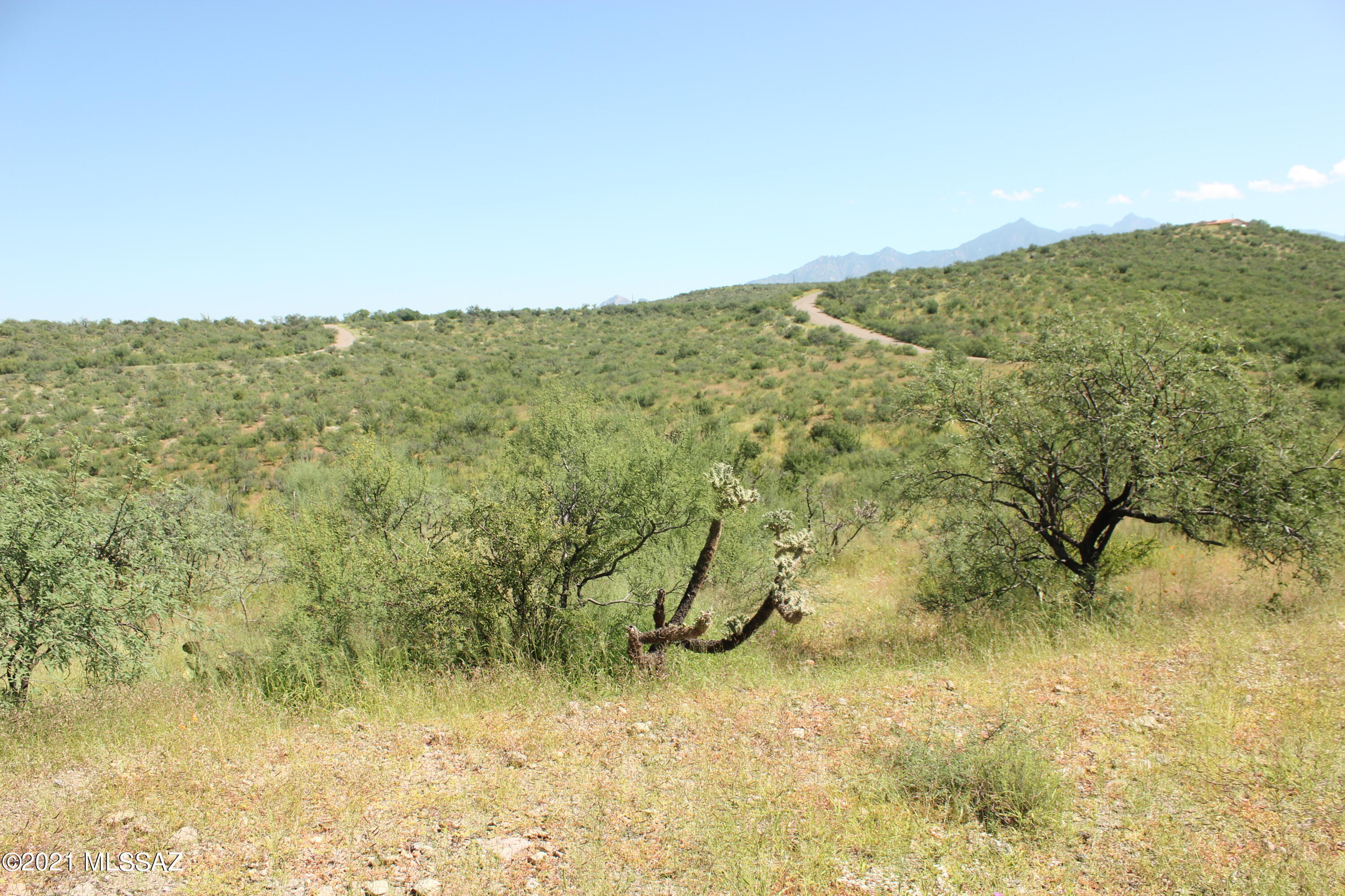 Residential lot, paved roads, remote area with very few homes nearby.  Electricity and water are about 6 lots away.