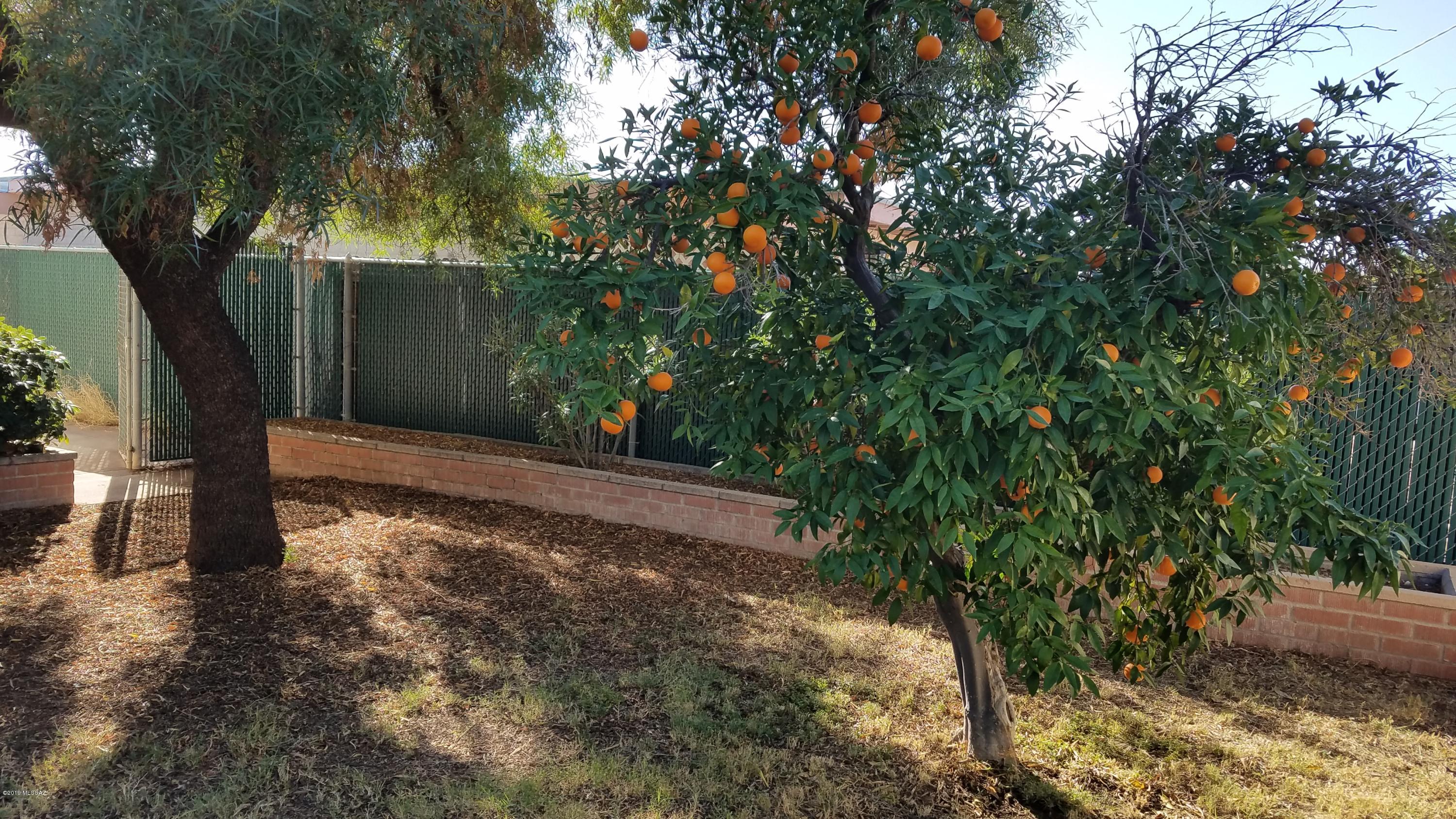 Oracle River Road Estates - Residential