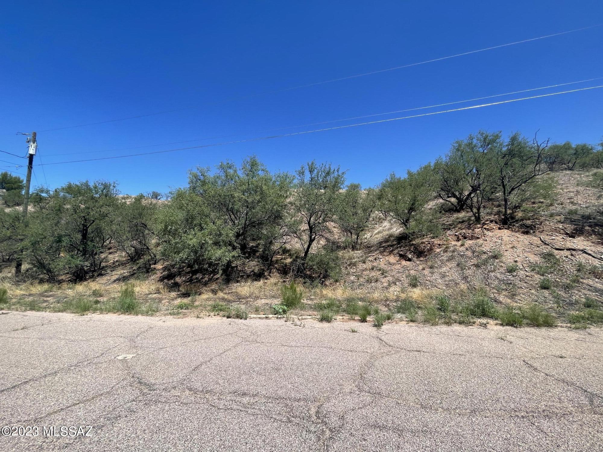 Rio Rico Estates 8 - Land