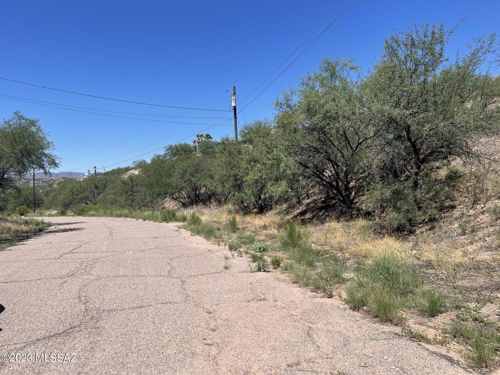 Rio Rico Estates 8 - Land