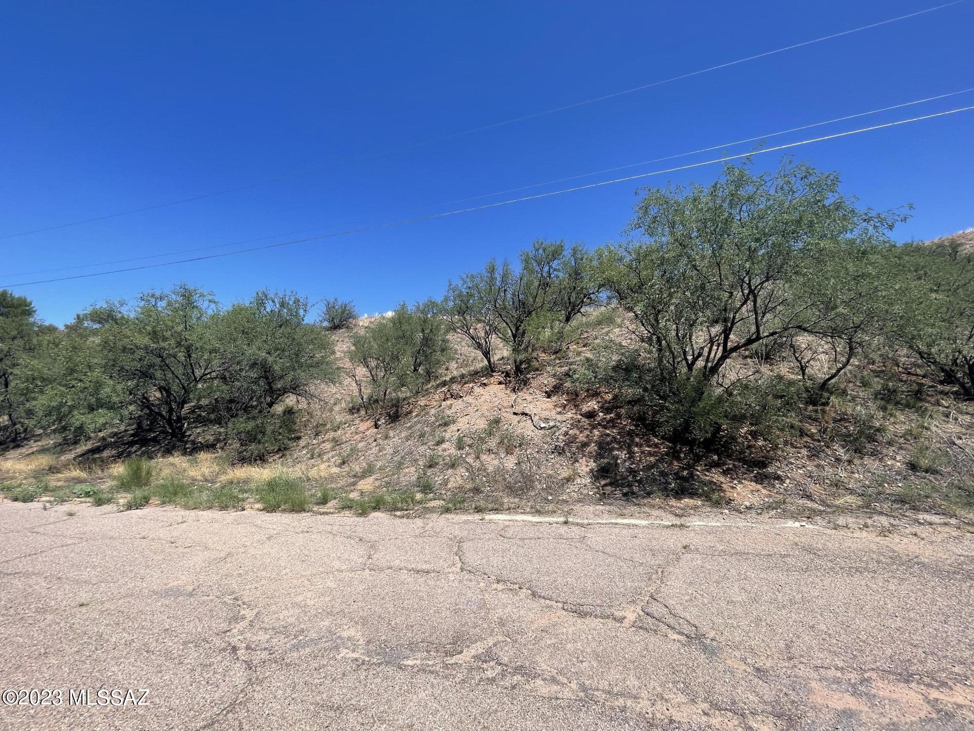Rio Rico Estates 8 - Land