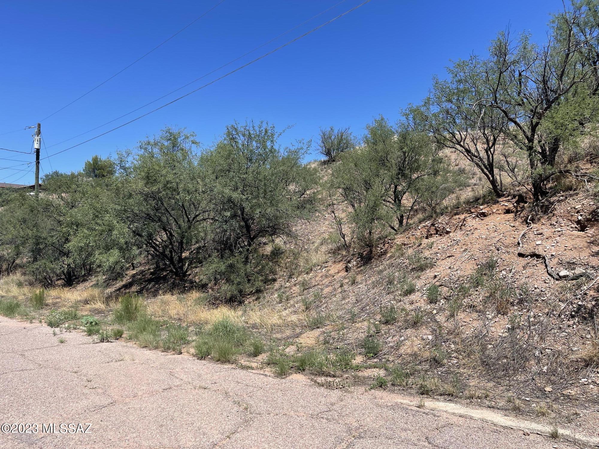 Rio Rico Estates 8 - Land