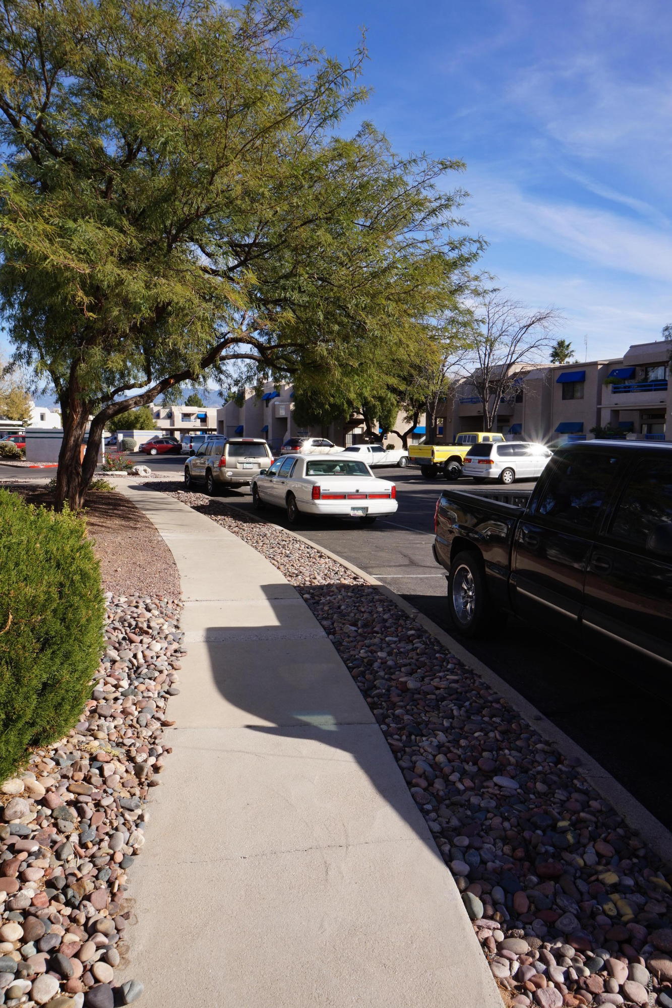 Summertree Condominiums (1-224) - Residential