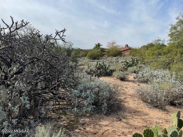 Westward Look Heights(1-45) - Land
