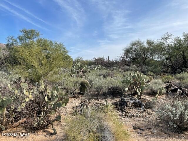 Wow! Three Quarters of an acre in one of the most desirable areas in Tucson, Nestled in the foothills of the Catalina mountains right next to the Westward look resort. Majestic Mountain views seen from the backyard of this build site. Bring your architect and build the home of your dreams! Priced low to sell fast! FIRPTA Applies. All utilities (sewer, water, electricity, Gas, cable, internet, telephone) at the lot line. This is one of the last undeveloped lots in this neighborhood! Get it while you can.