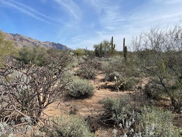 Westward Look Heights(1-45) - Land