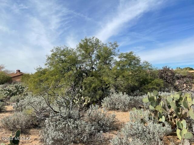 Westward Look Heights(1-45) - Land
