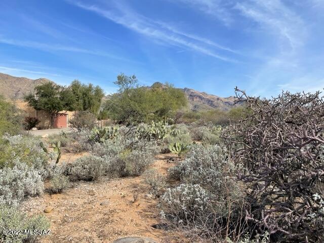 Westward Look Heights(1-45) - Land