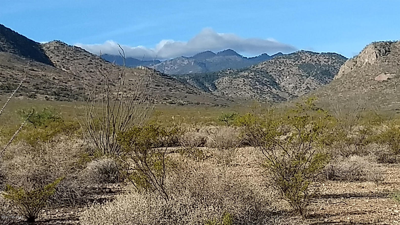 Out Of Pima County - Land