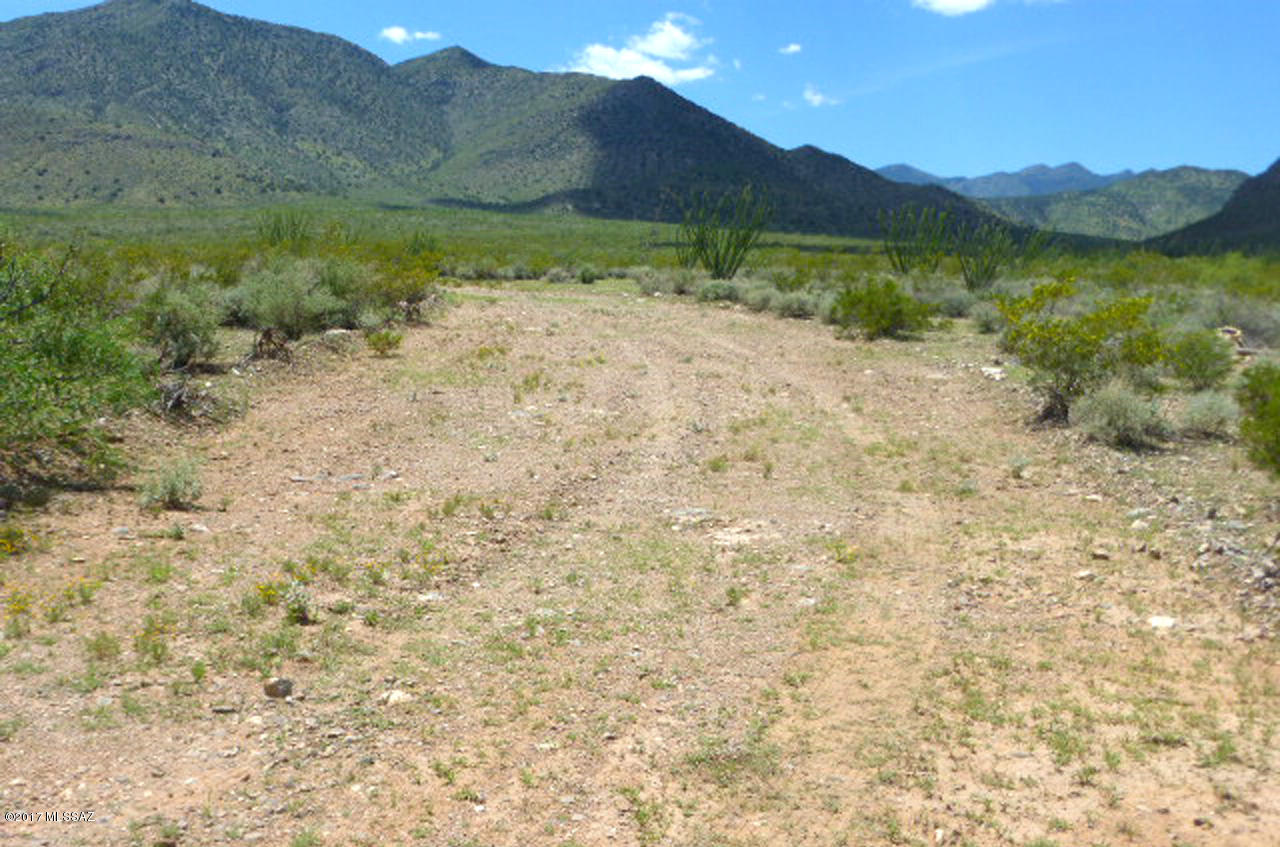 Out Of Pima County - Land