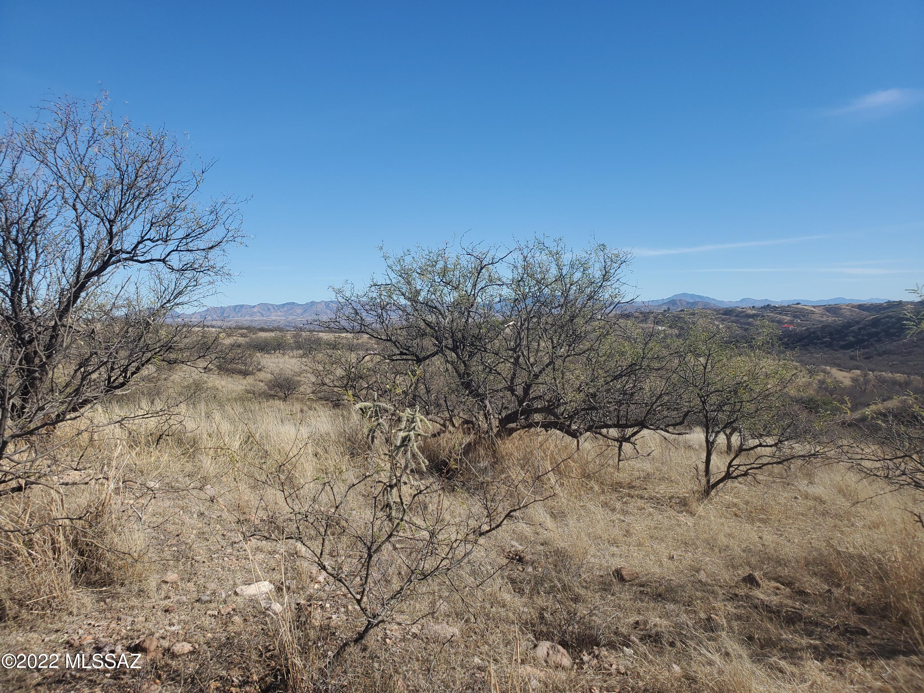 Rio Rico Ranchettes 5 - Land