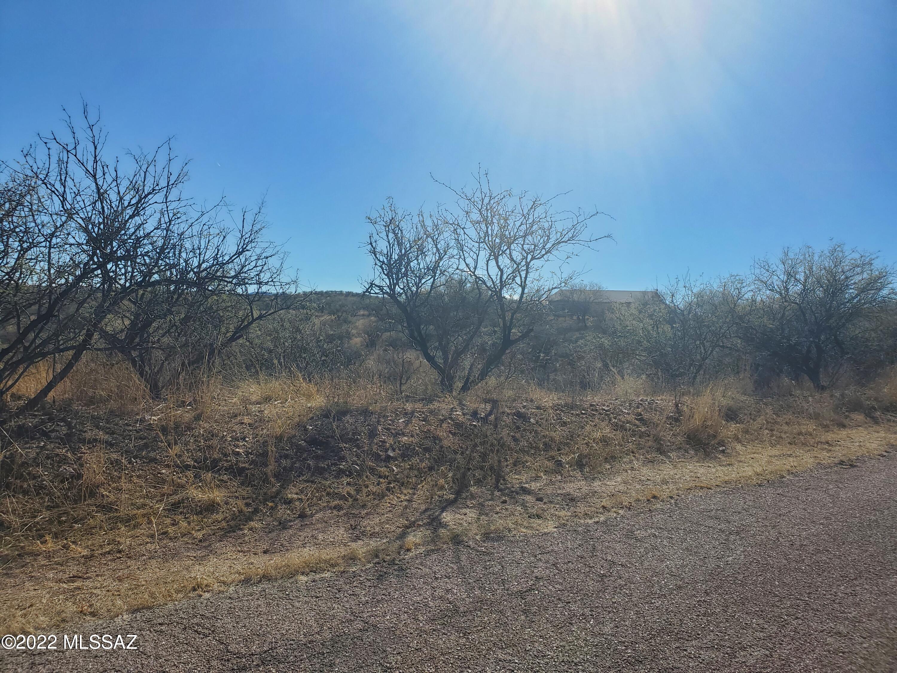 Rio Rico Ranchettes 5 - Land