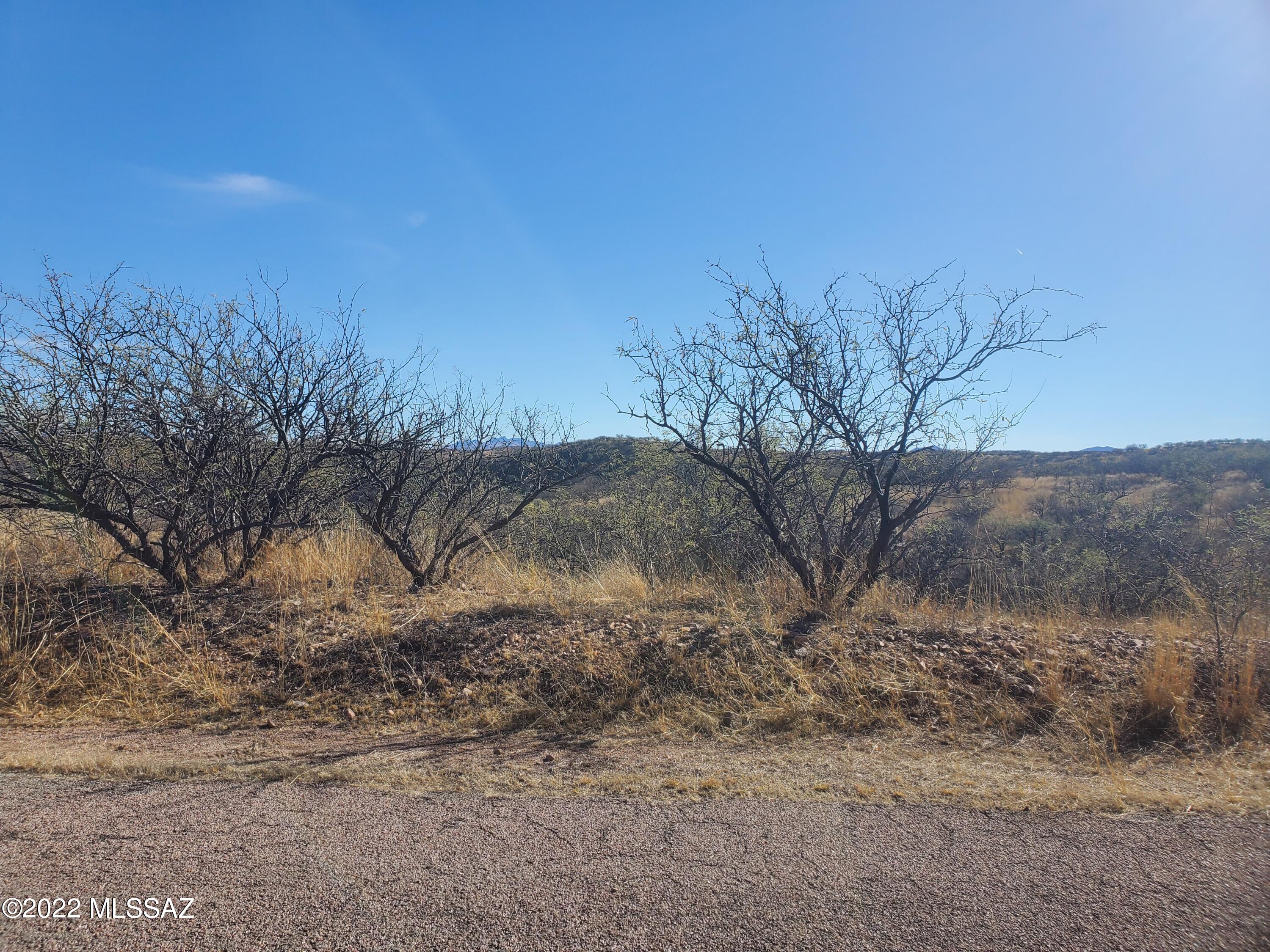 Rio Rico Ranchettes 5 - Land