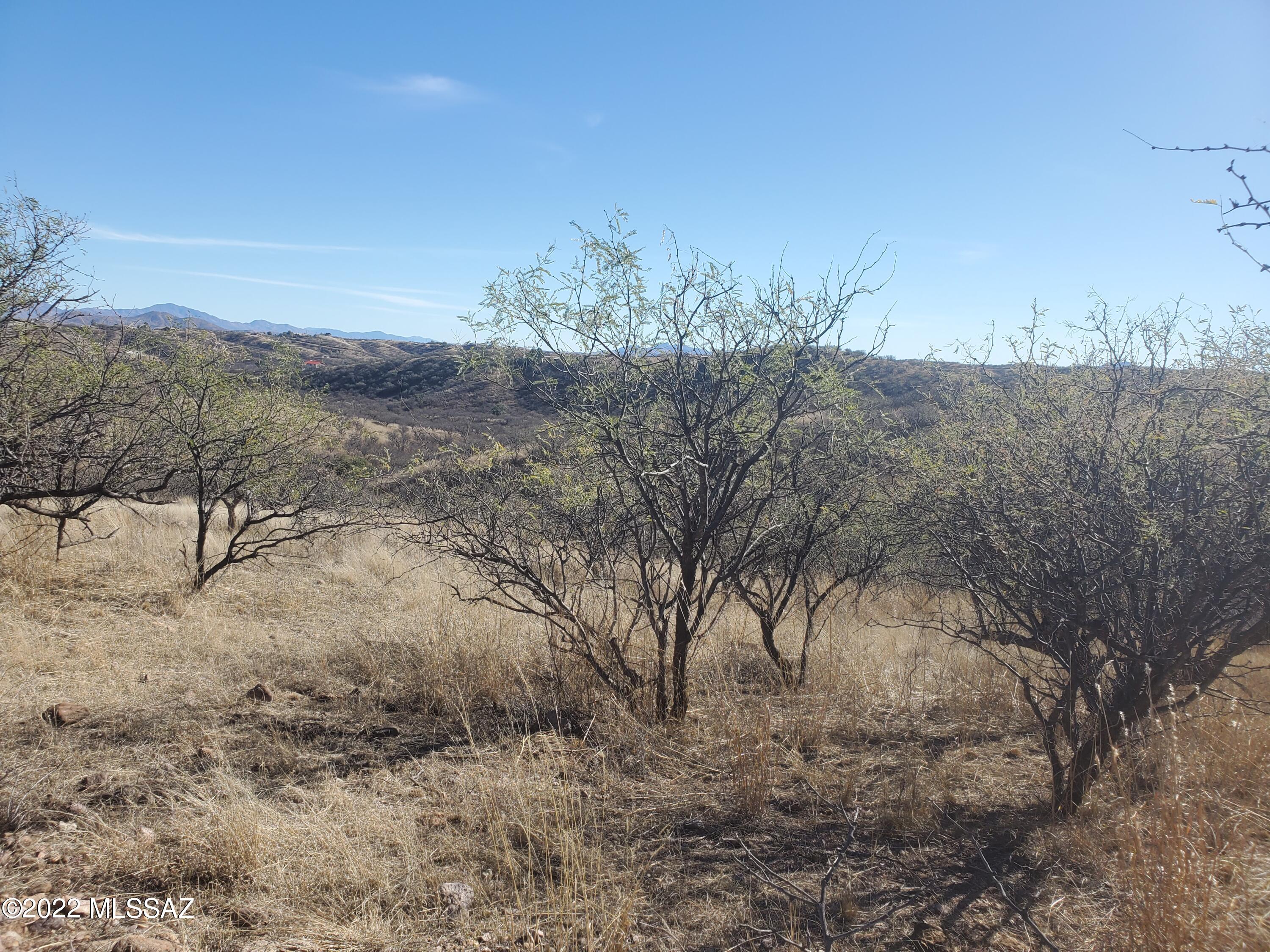 Rio Rico Ranchettes 5 - Land