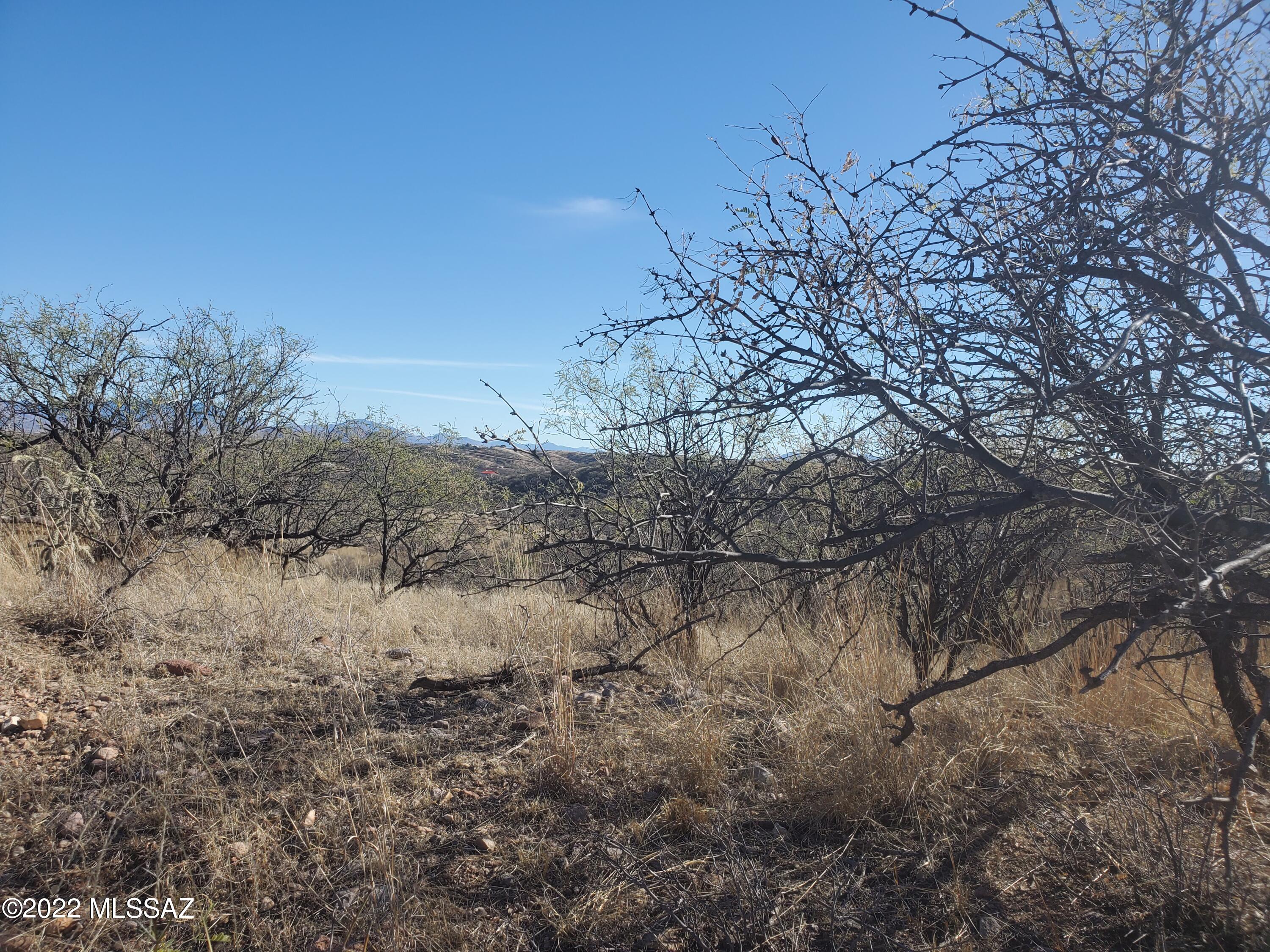 Rio Rico Ranchettes 5 - Land