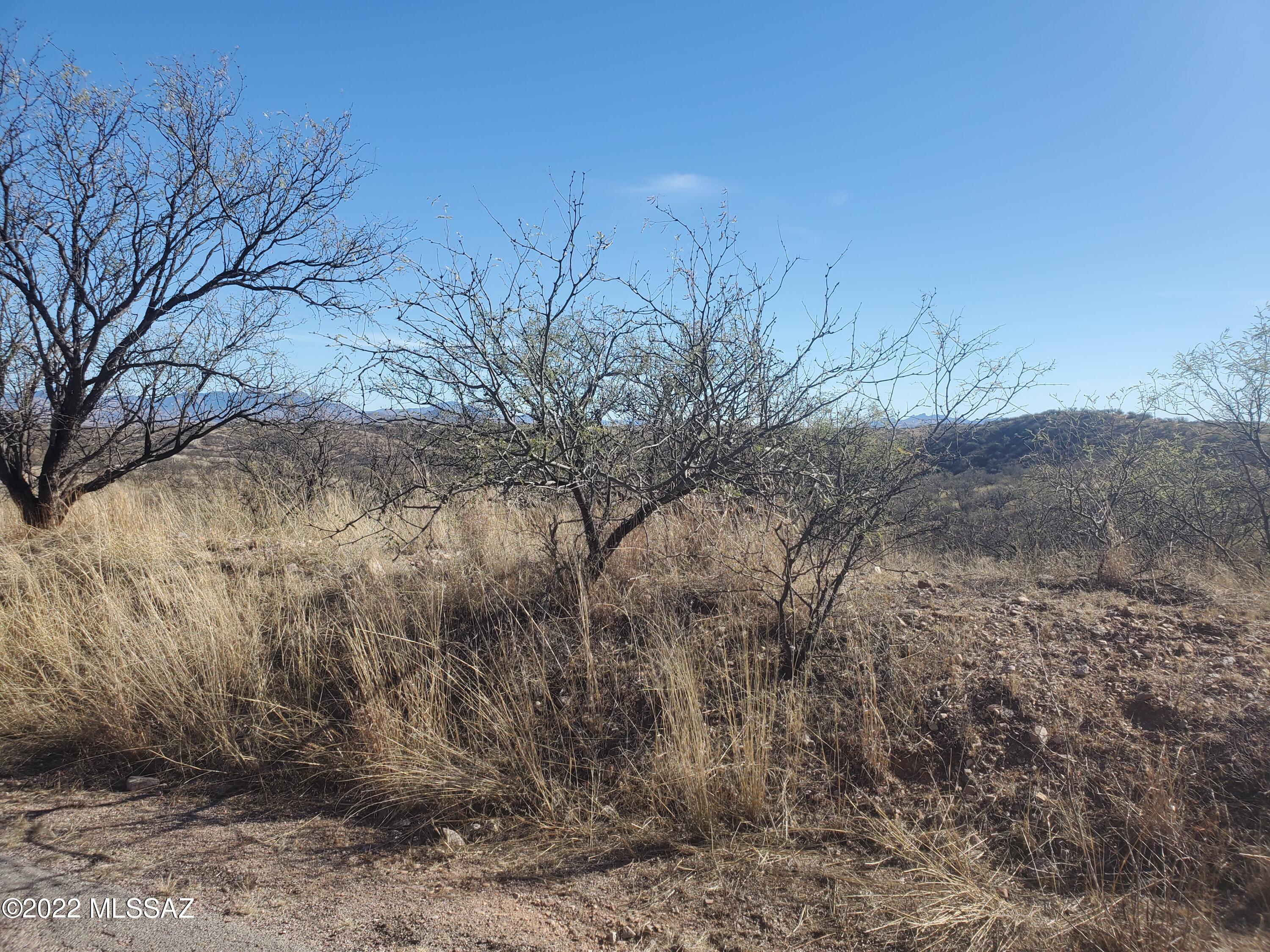 Rio Rico Ranchettes 5 - Land