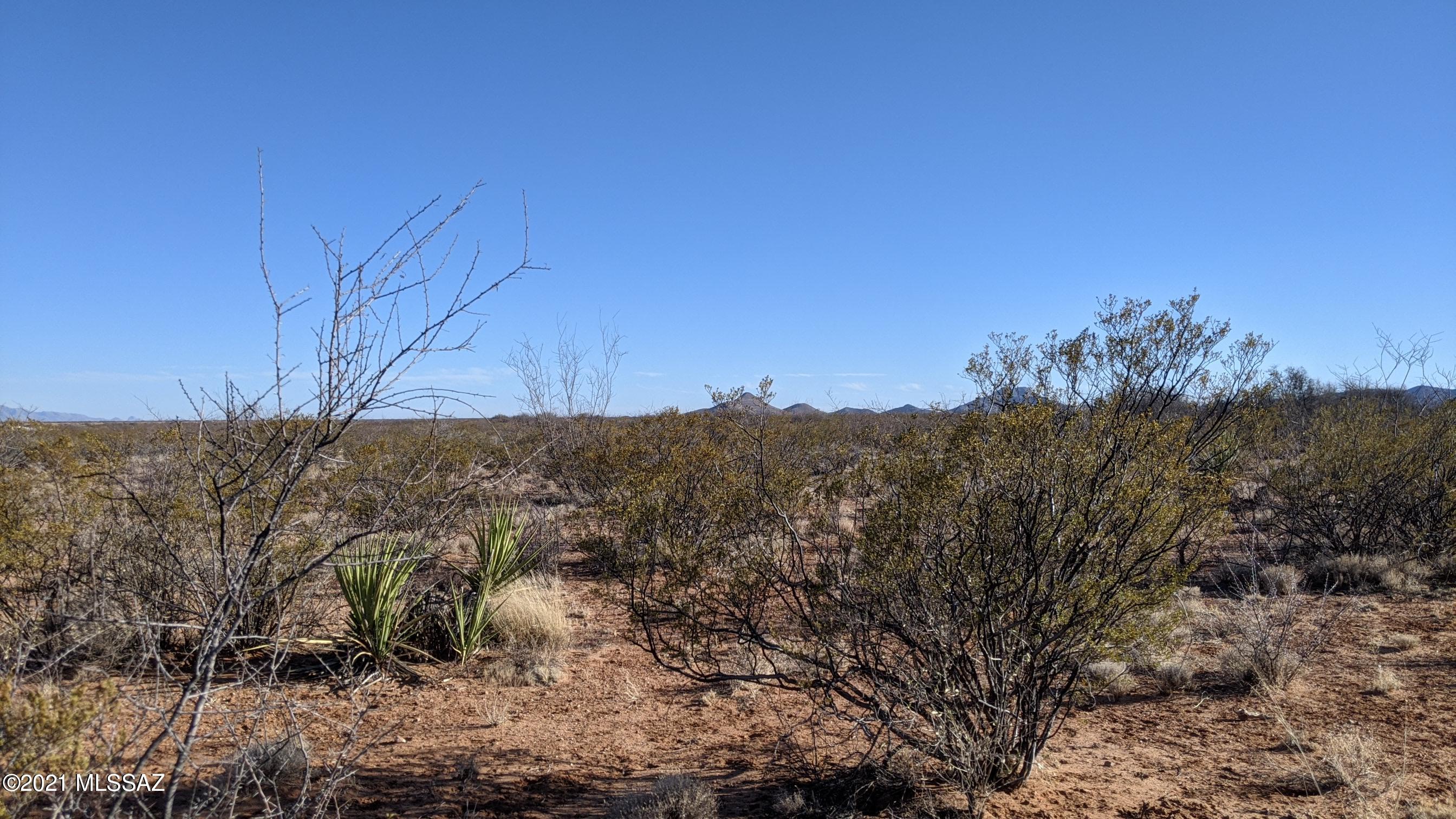 Out Of Pima County - Land