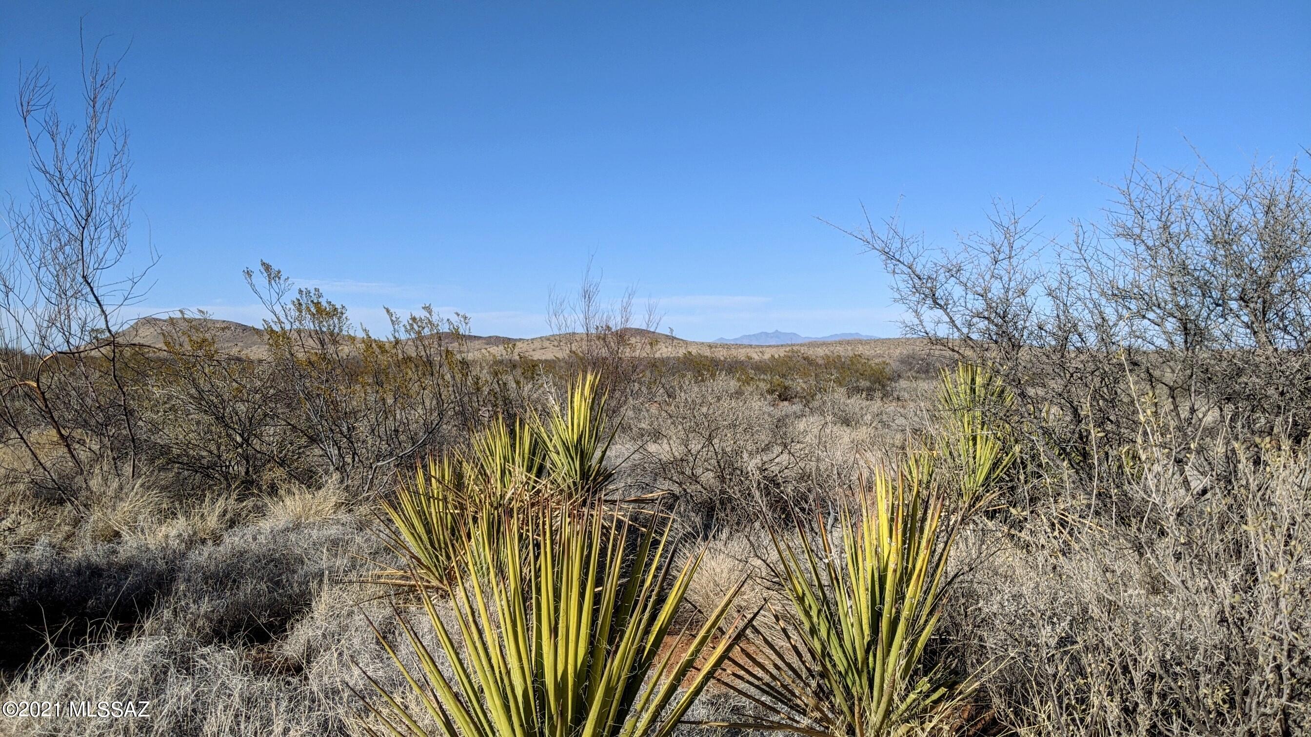 Out Of Pima County - Land