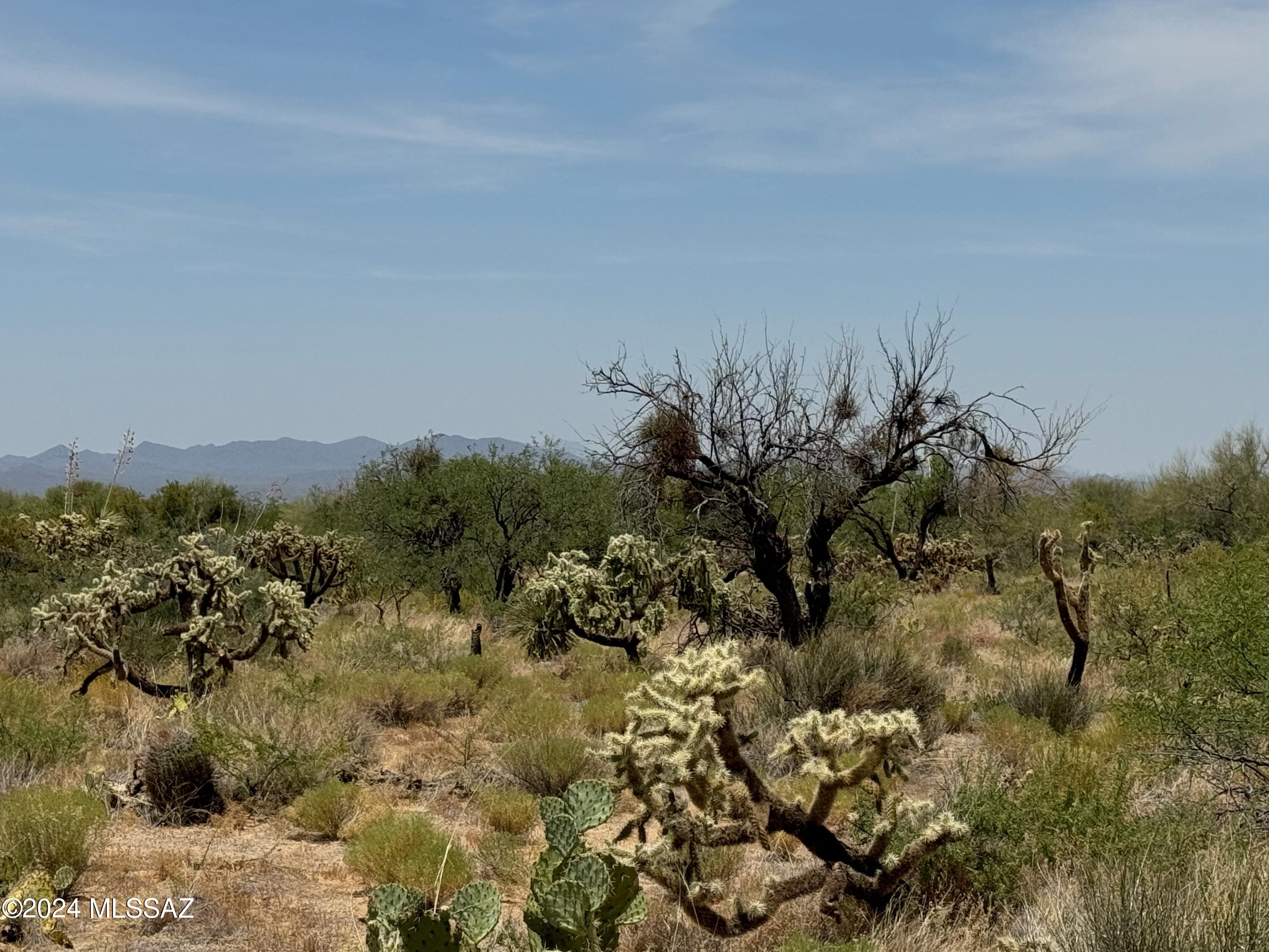 Diamond Bell Ranch - Tucson Unit 6 (1-435) - Land
