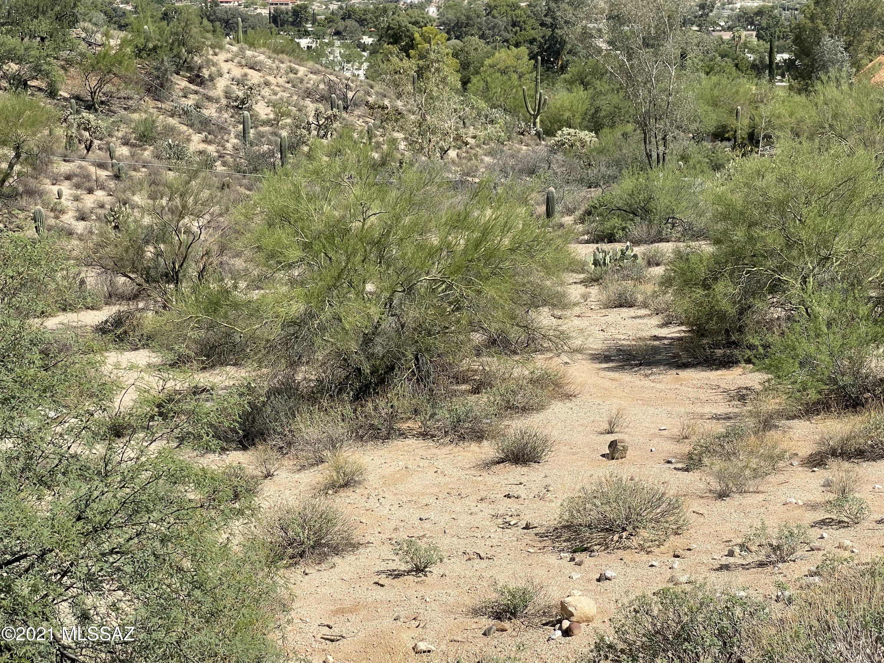 Tucson National Est West - Land