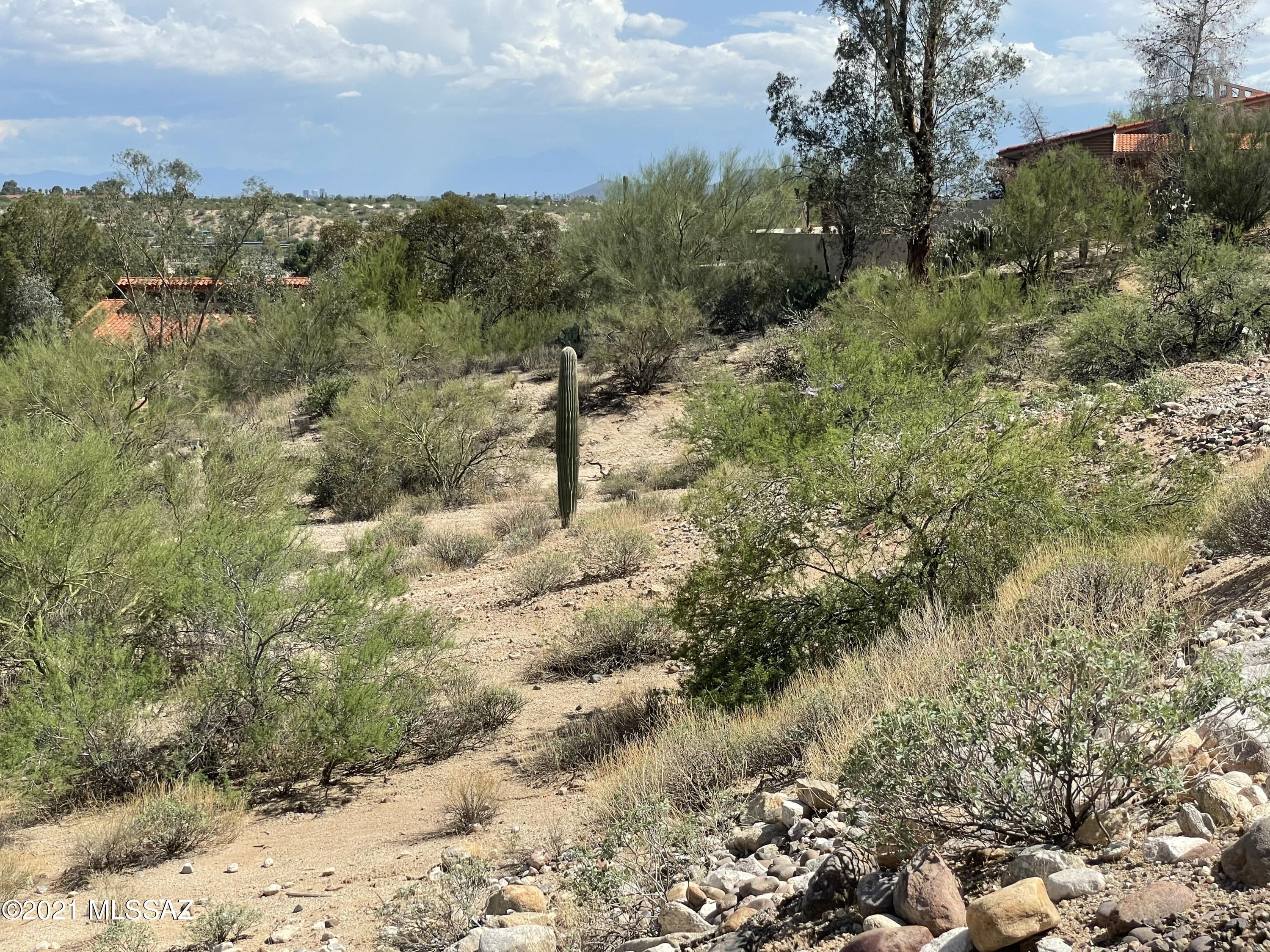 Tucson National Est West - Land