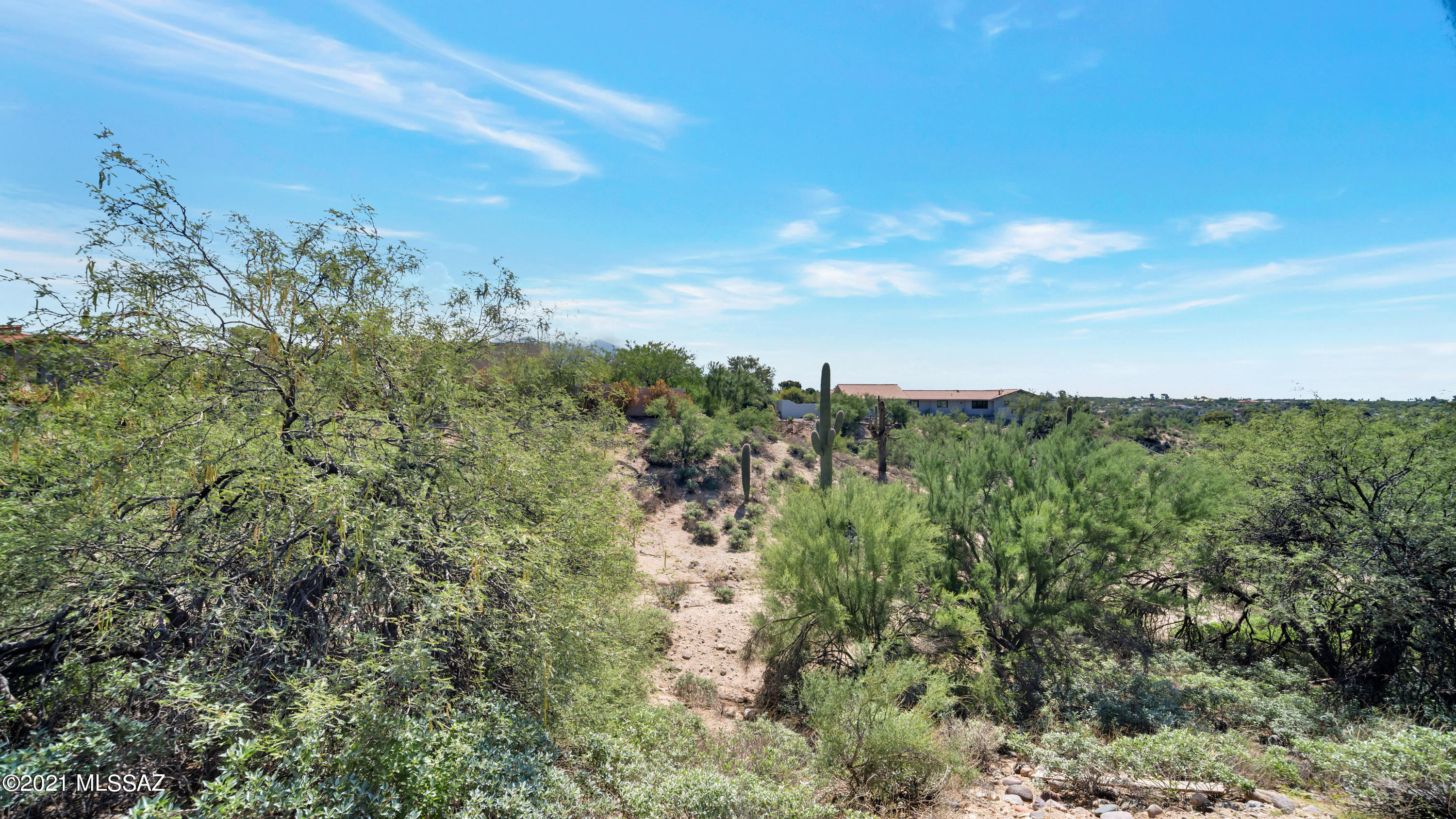 Tucson National Est West - Land