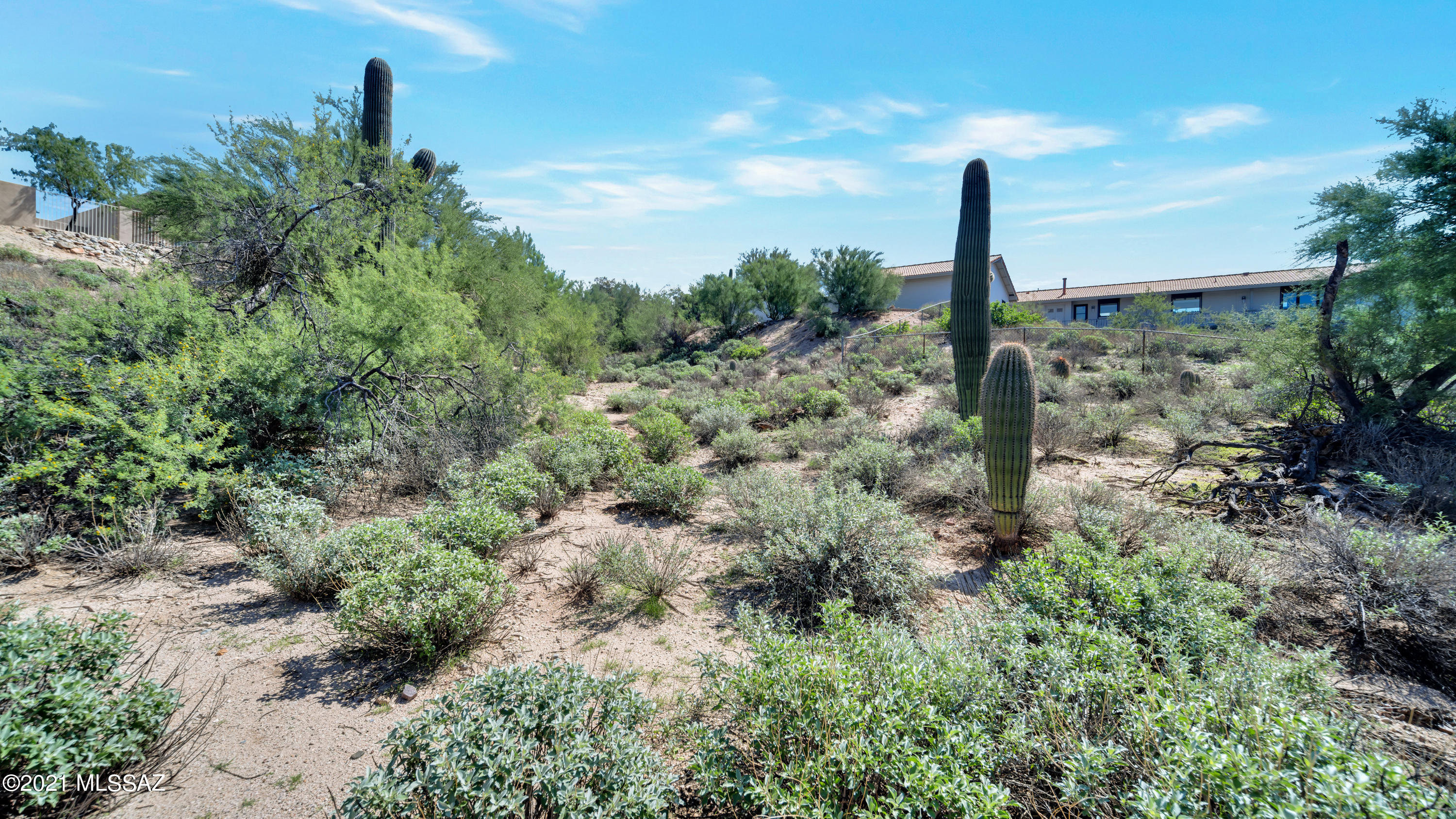 Tucson National Est West - Land