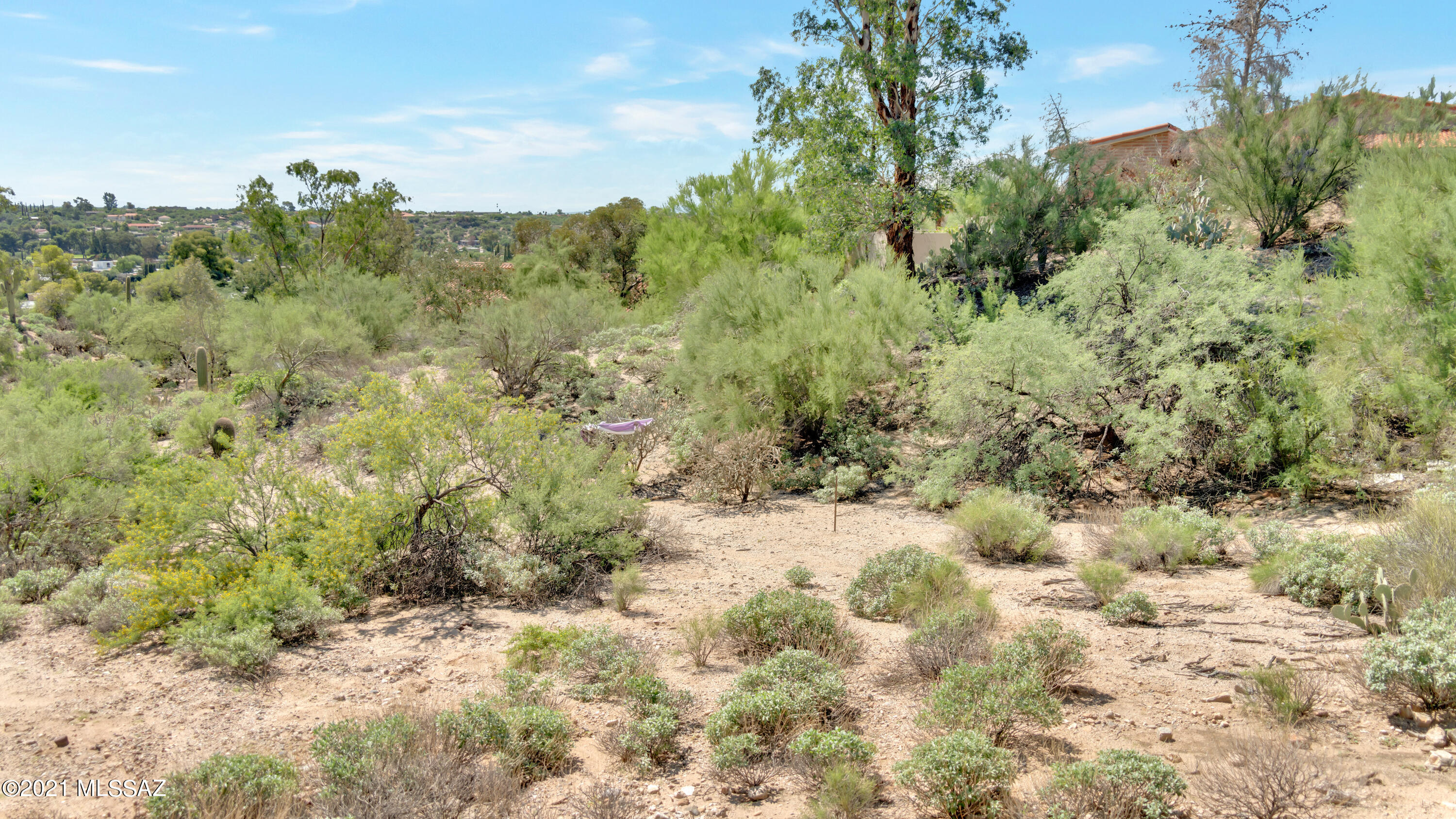Tucson National Est West - Land