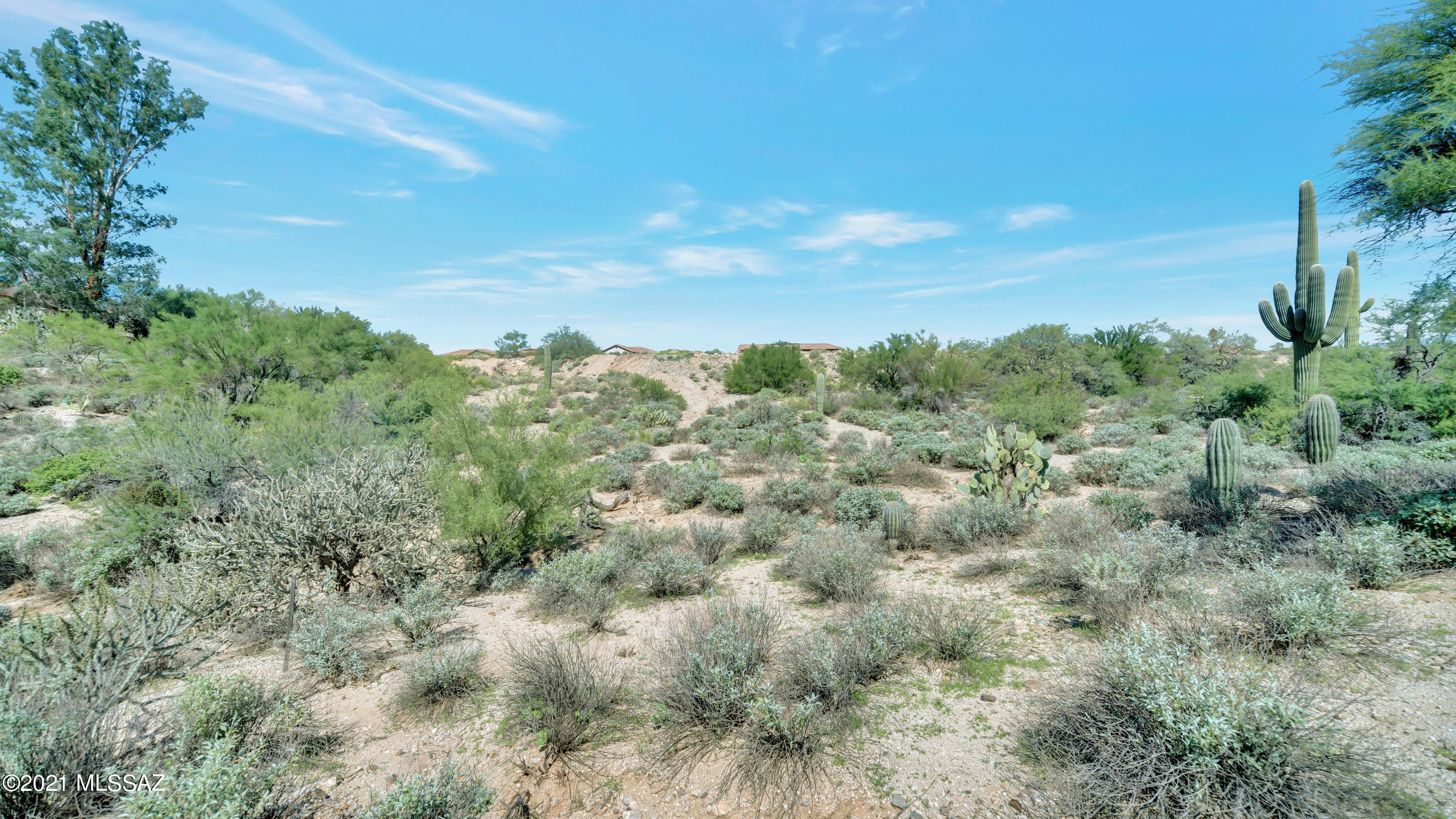 Tucson National Est West - Land