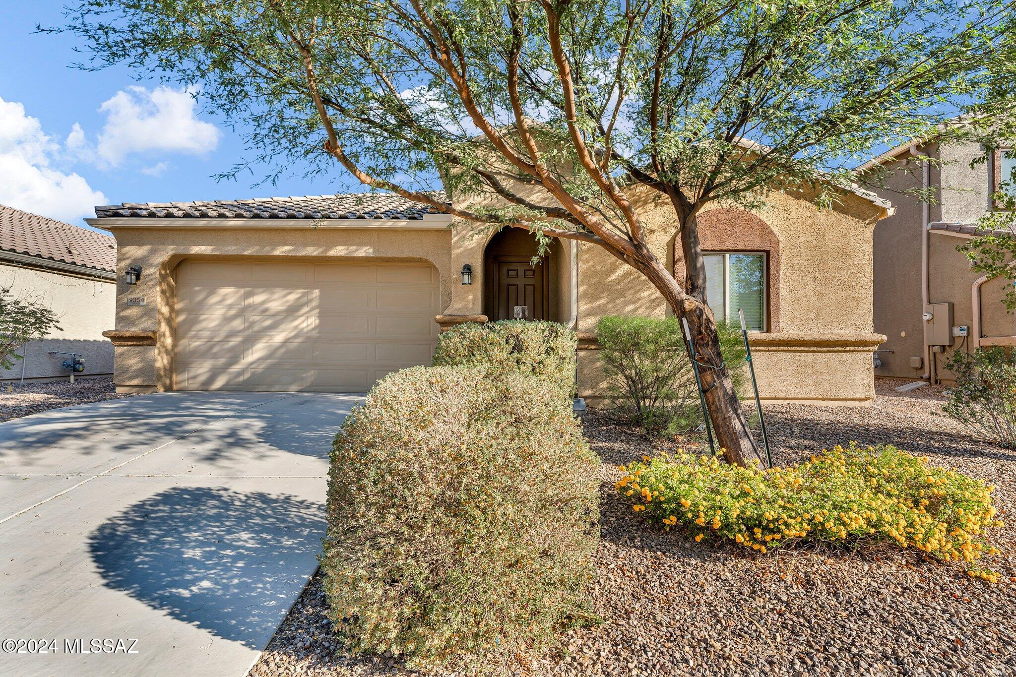 Saguaro Bloom Block 2 - Residential