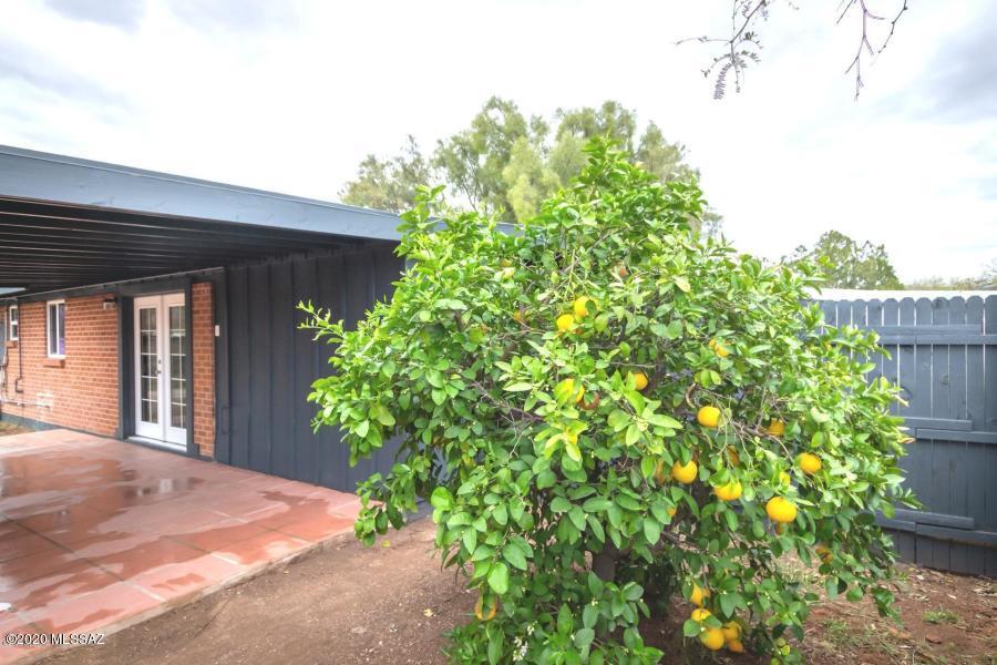 Terra Del Sol - Residential Lease