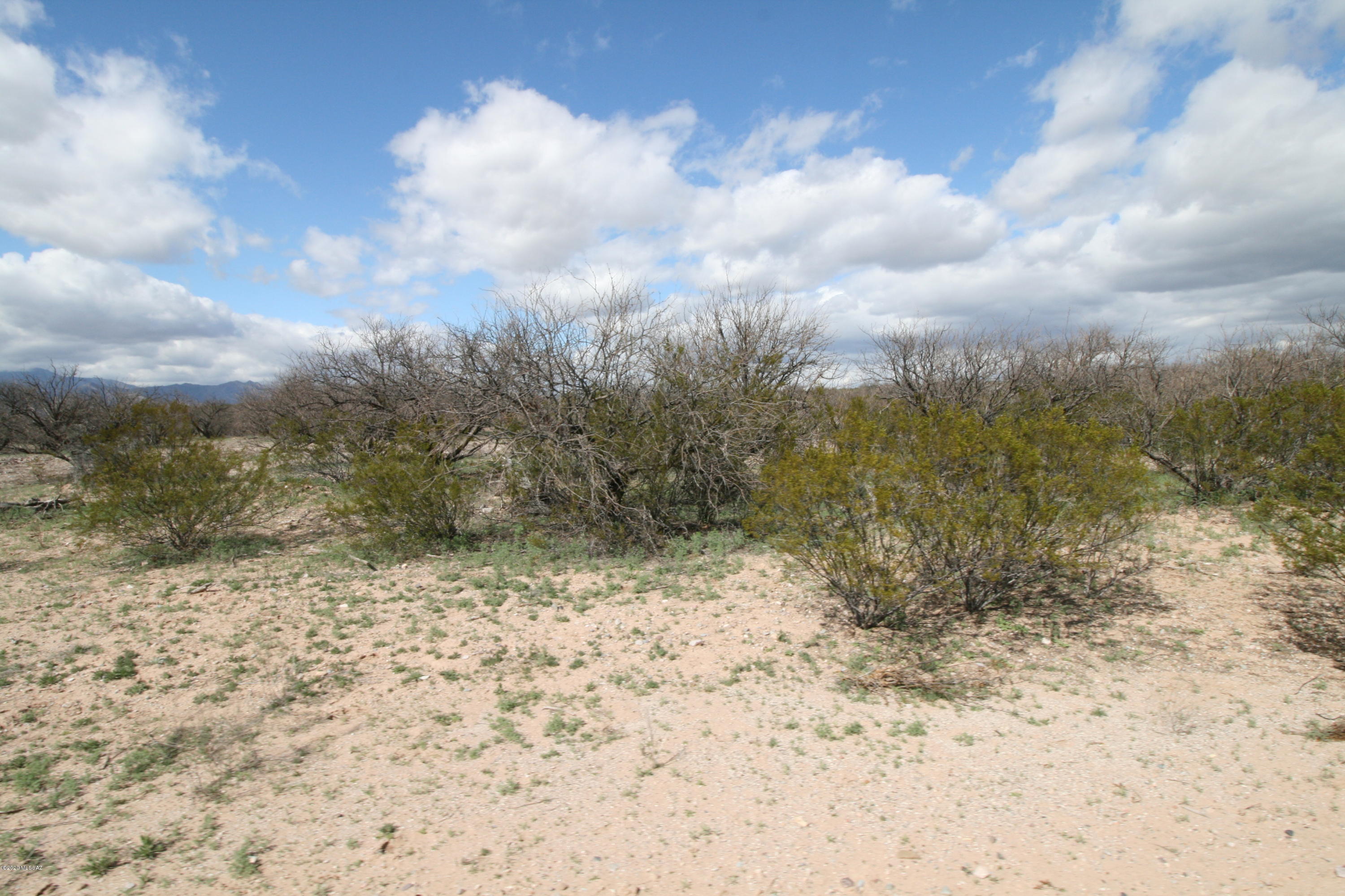San Pedro Ranches - Land