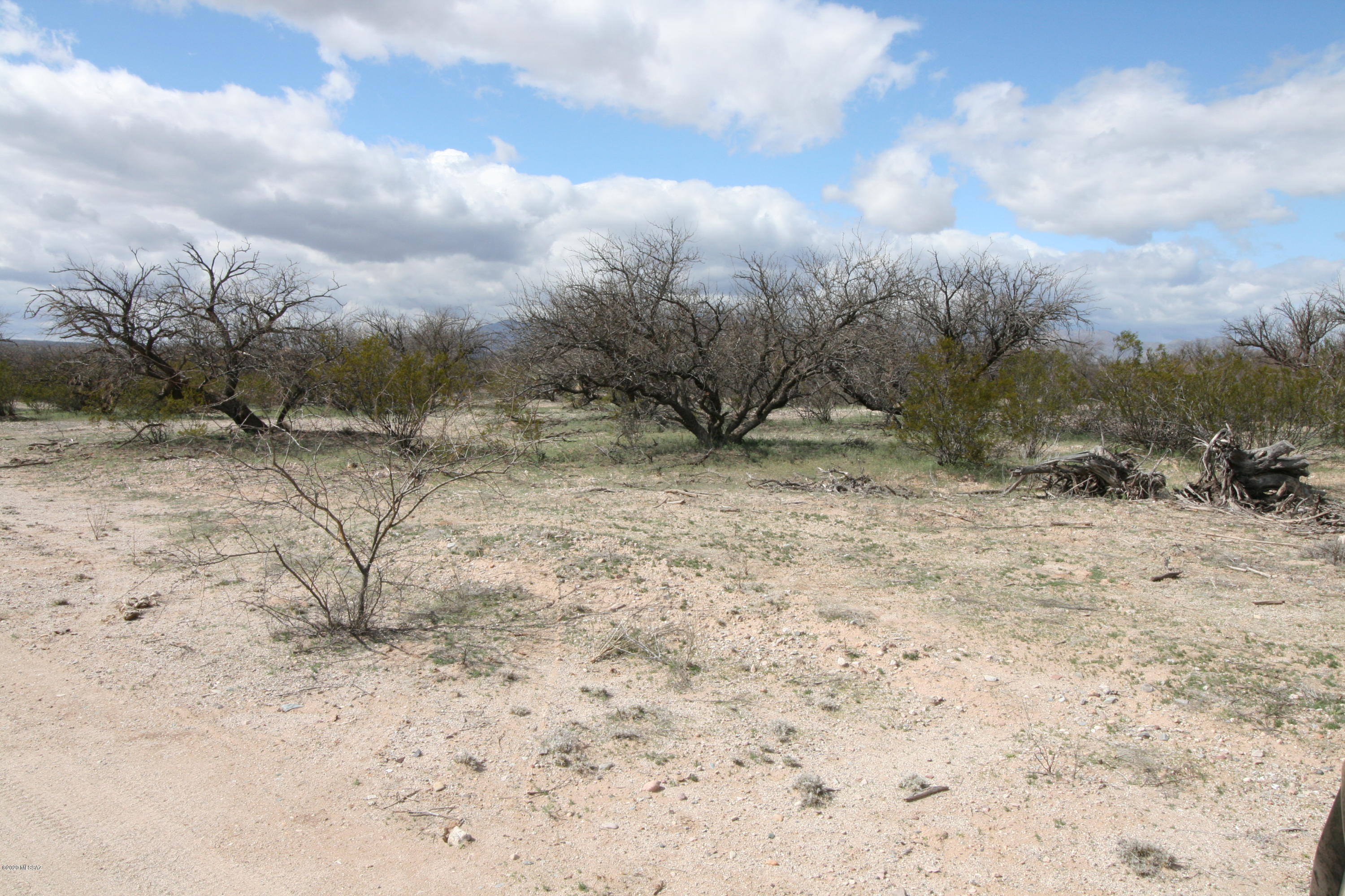 San Pedro Ranches - Land