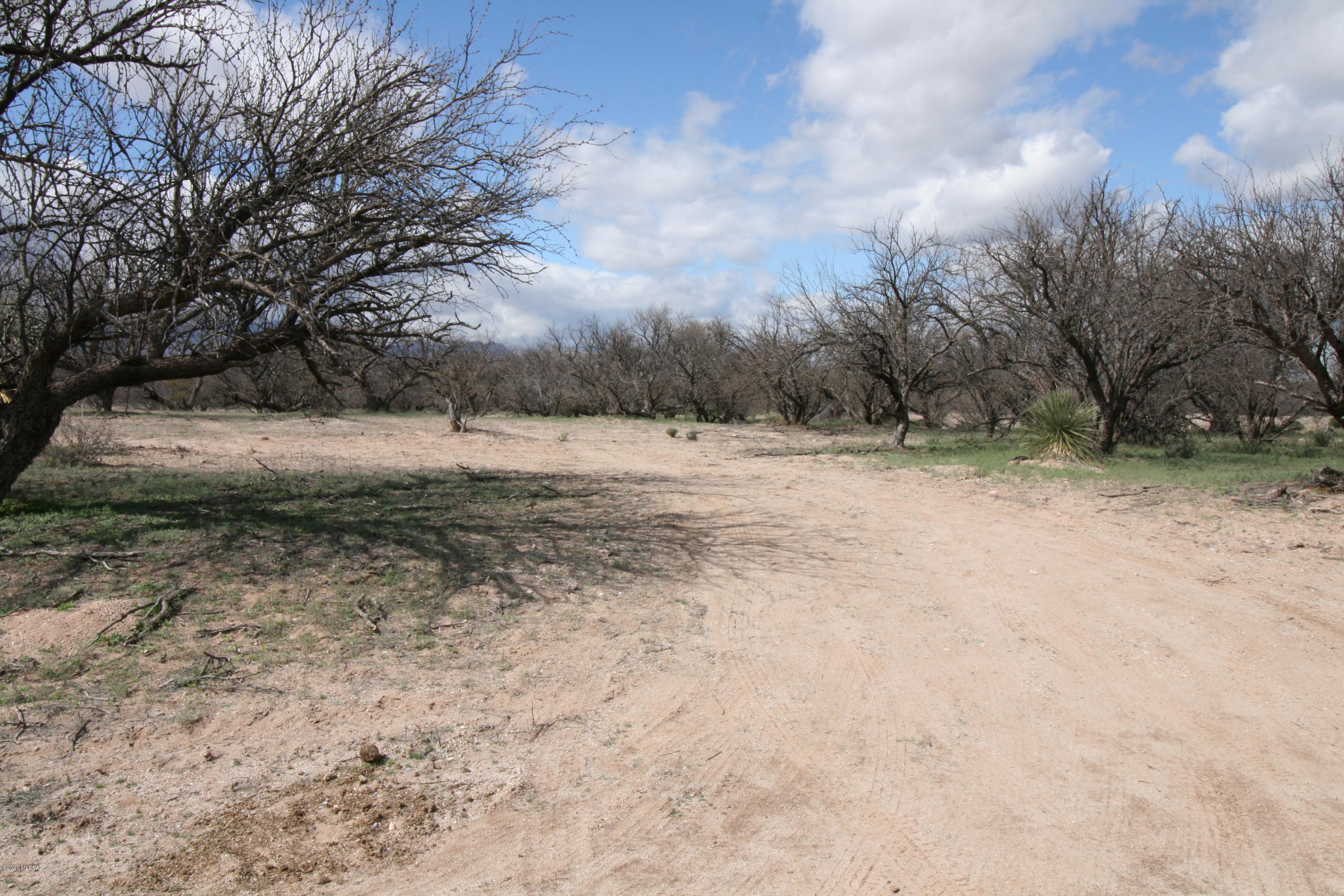 San Pedro Ranches - Land