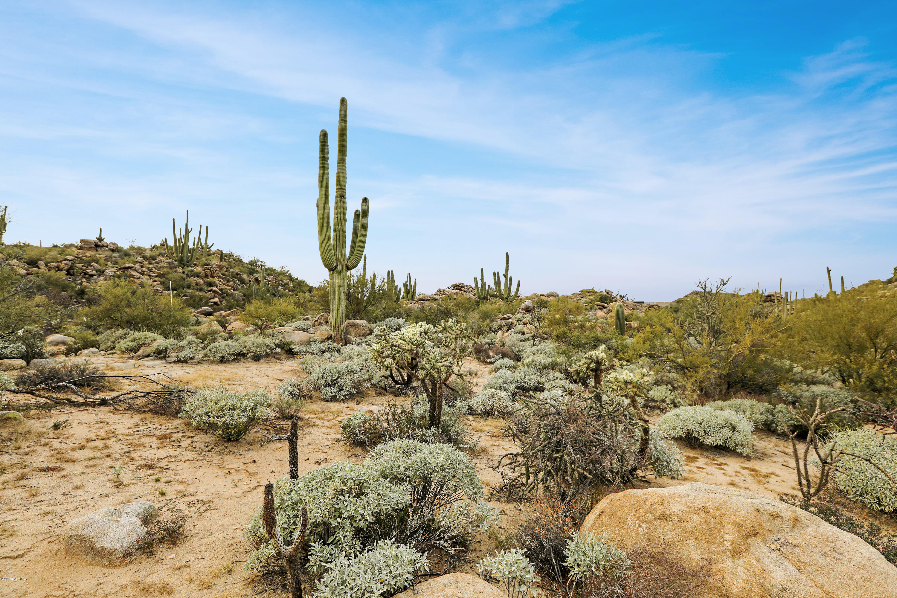 Stone Canyon VIII (486-602) - Land