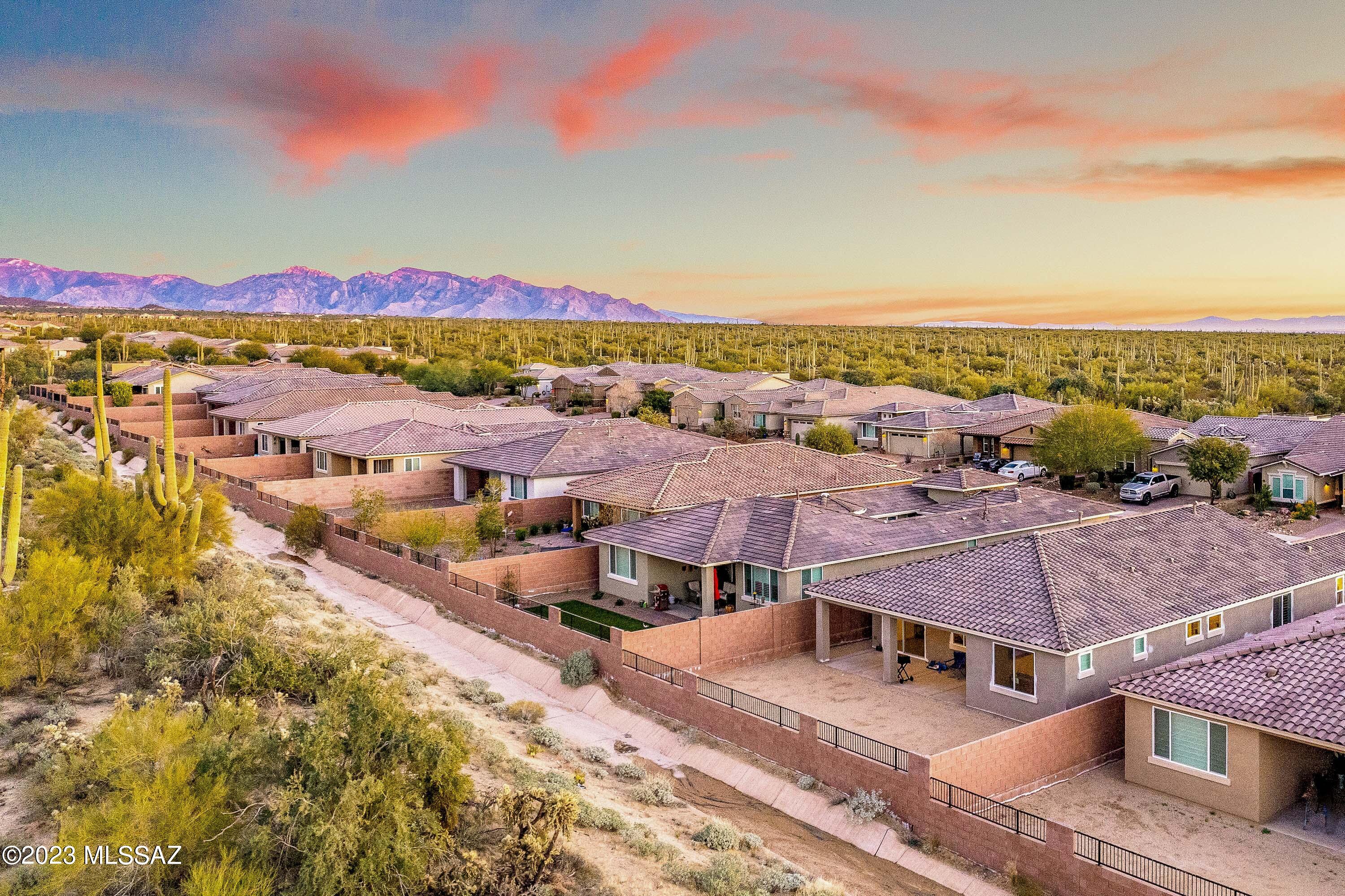Blue Agave At Dove Mountain - Residential