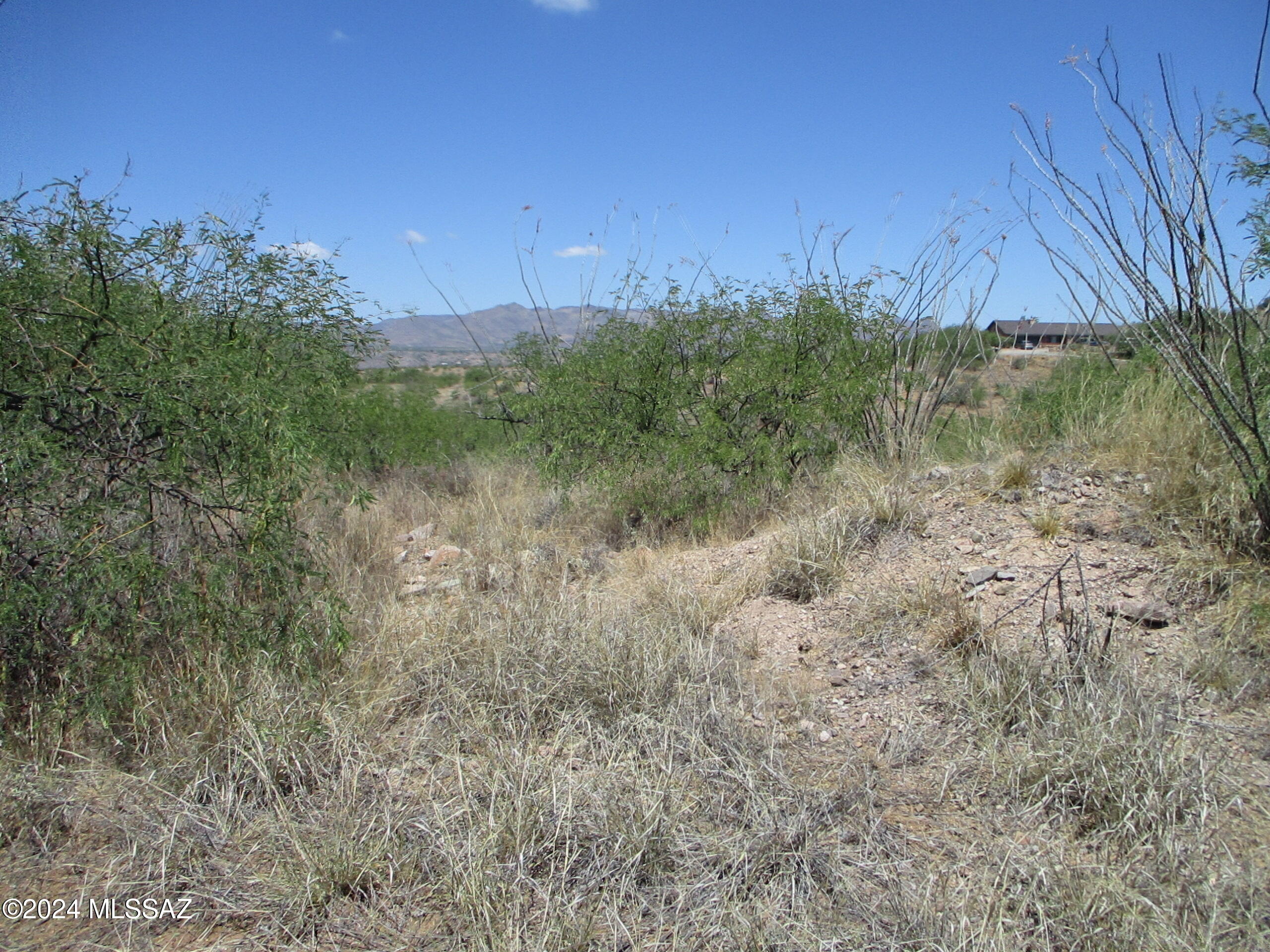 Rio Rico Ranchettes - Land