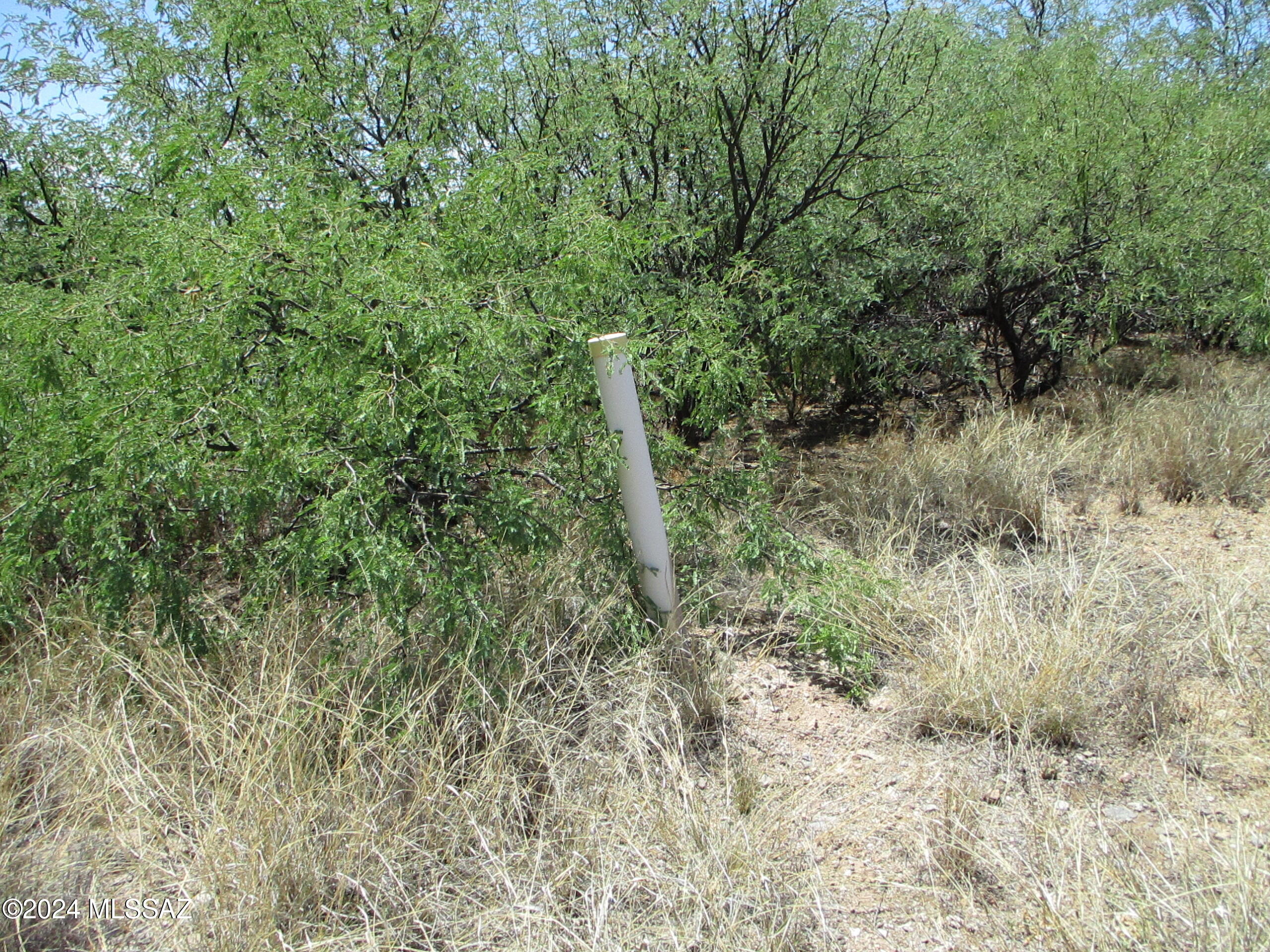 Rio Rico Ranchettes - Land