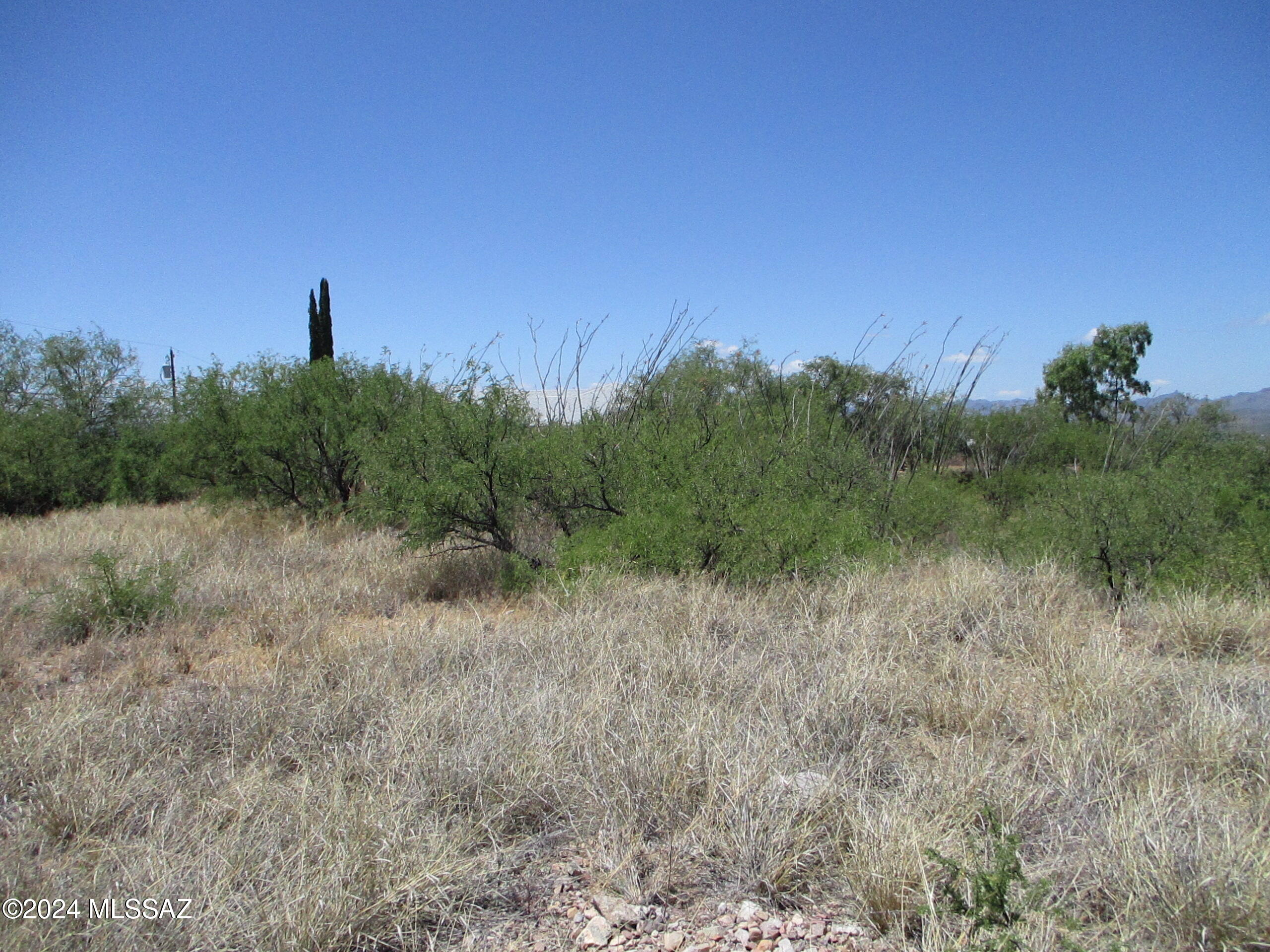 Rio Rico Ranchettes - Land