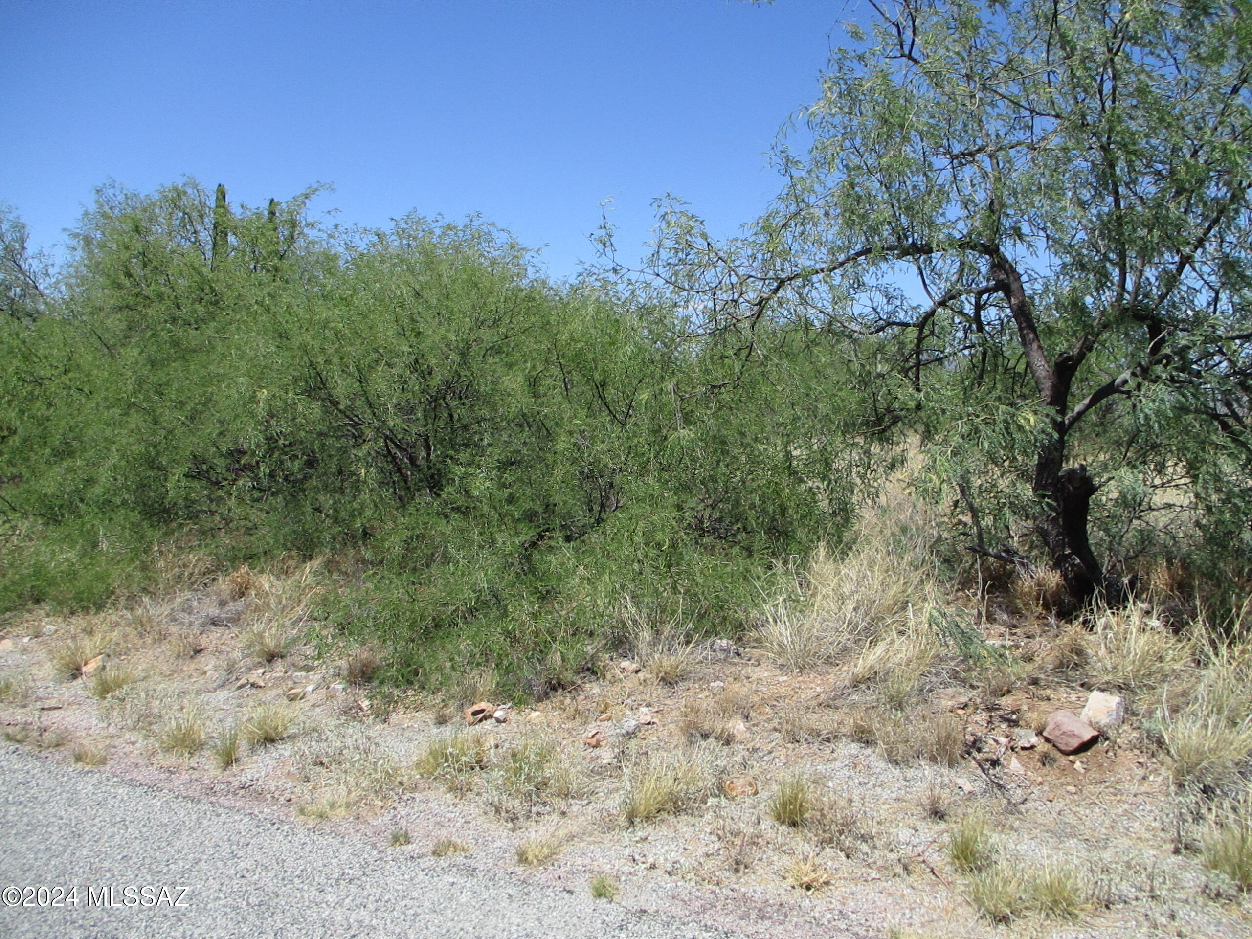 1.3 acres in Rio Rico - Views - pristine land ready for your new home - utilities at the road