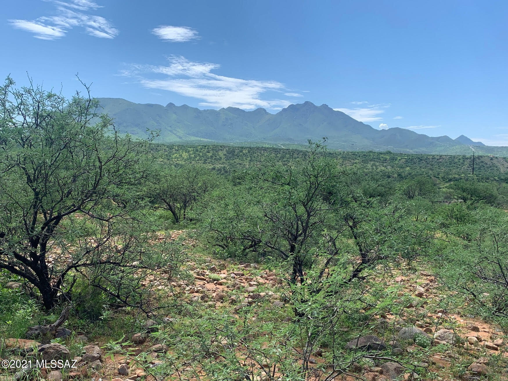 Rio Rico Villas 11 - Land