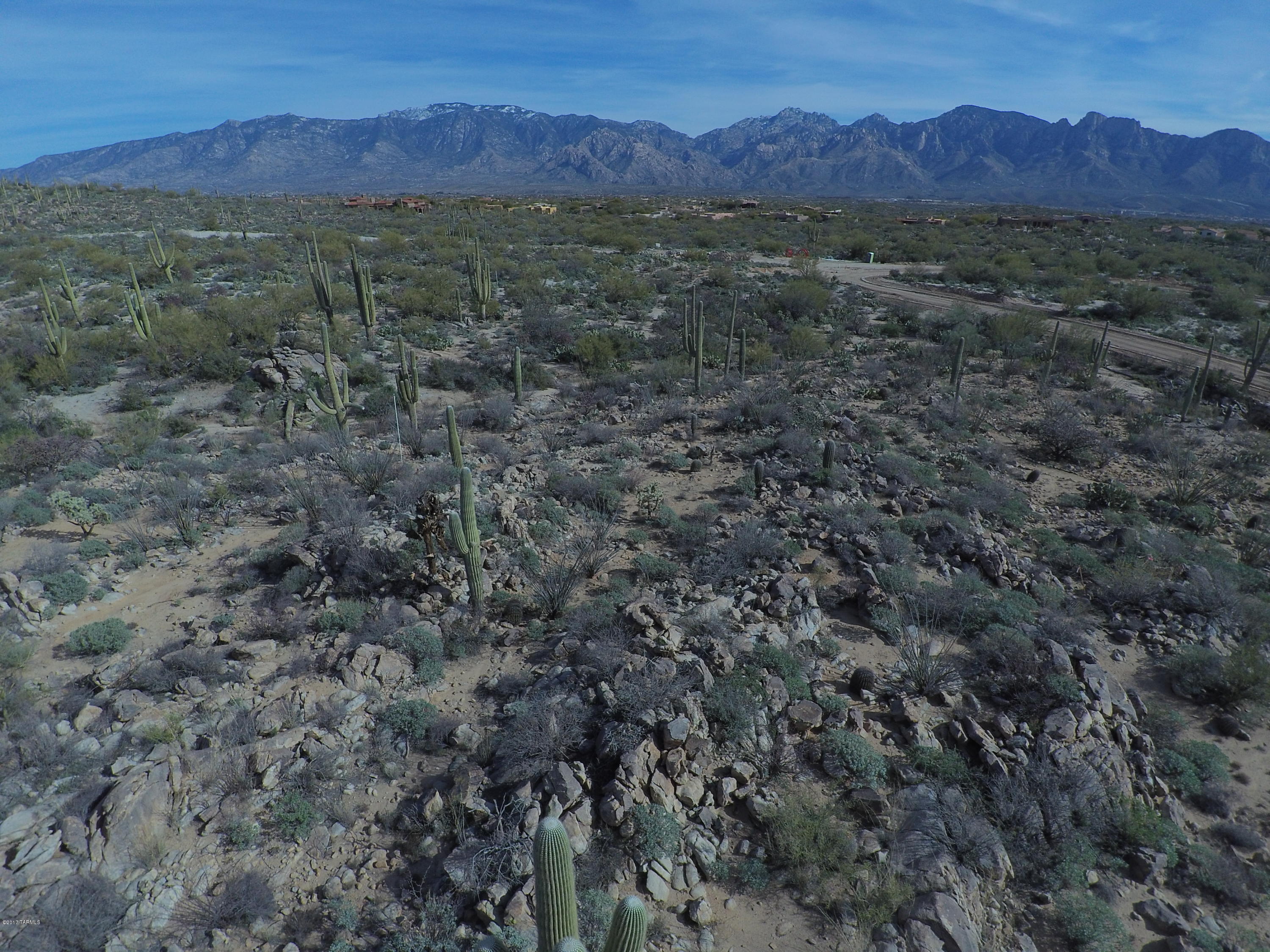 Stone Canyon VIII (486-602) - Land